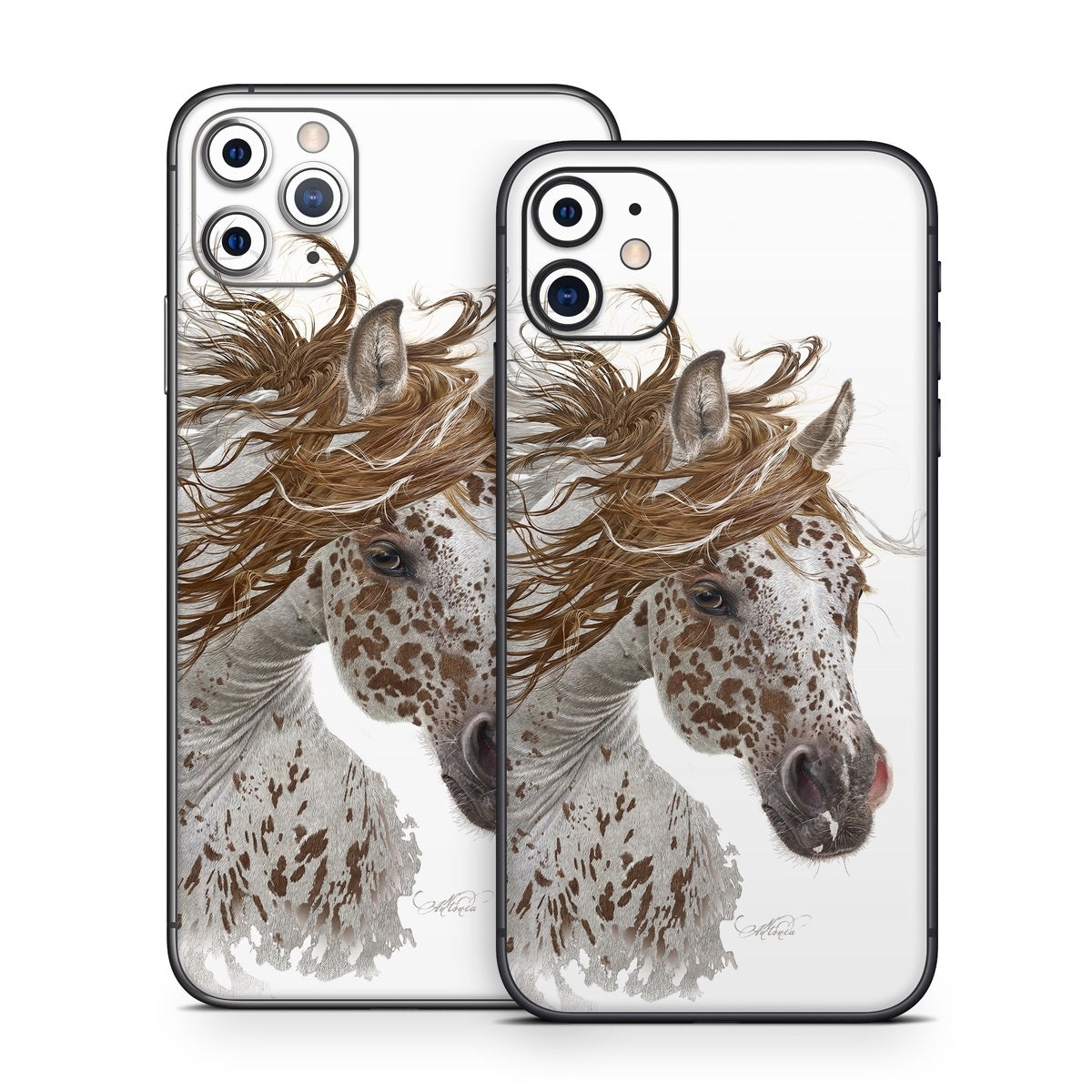 Appaloosa - Apple iPhone 11 Skin