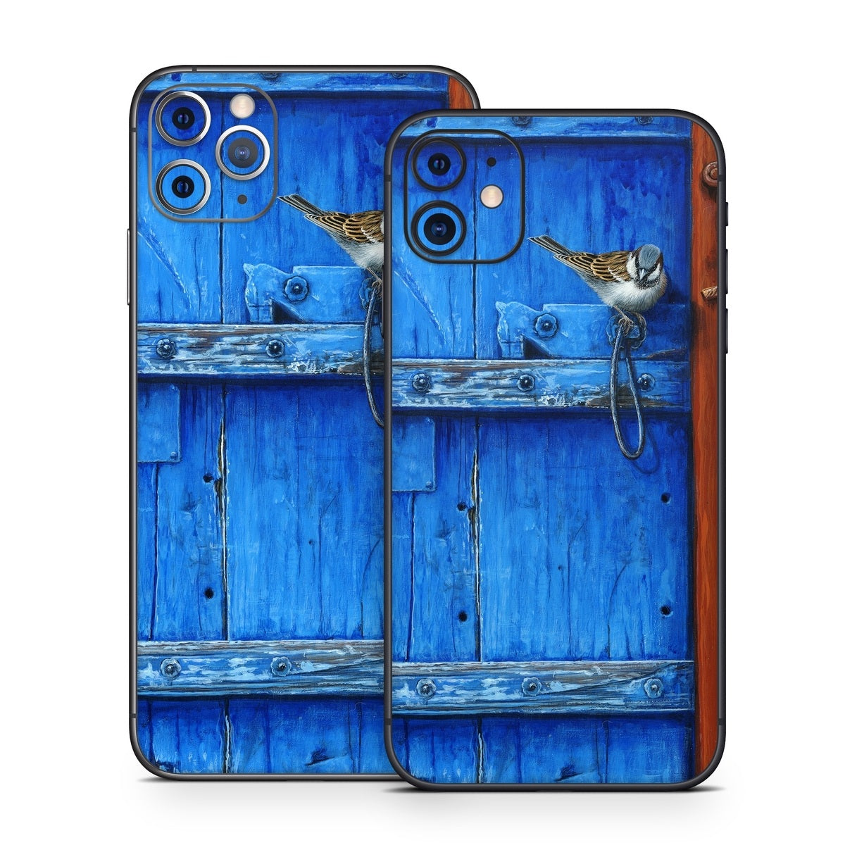 Blue Door - Apple iPhone 11 Skin