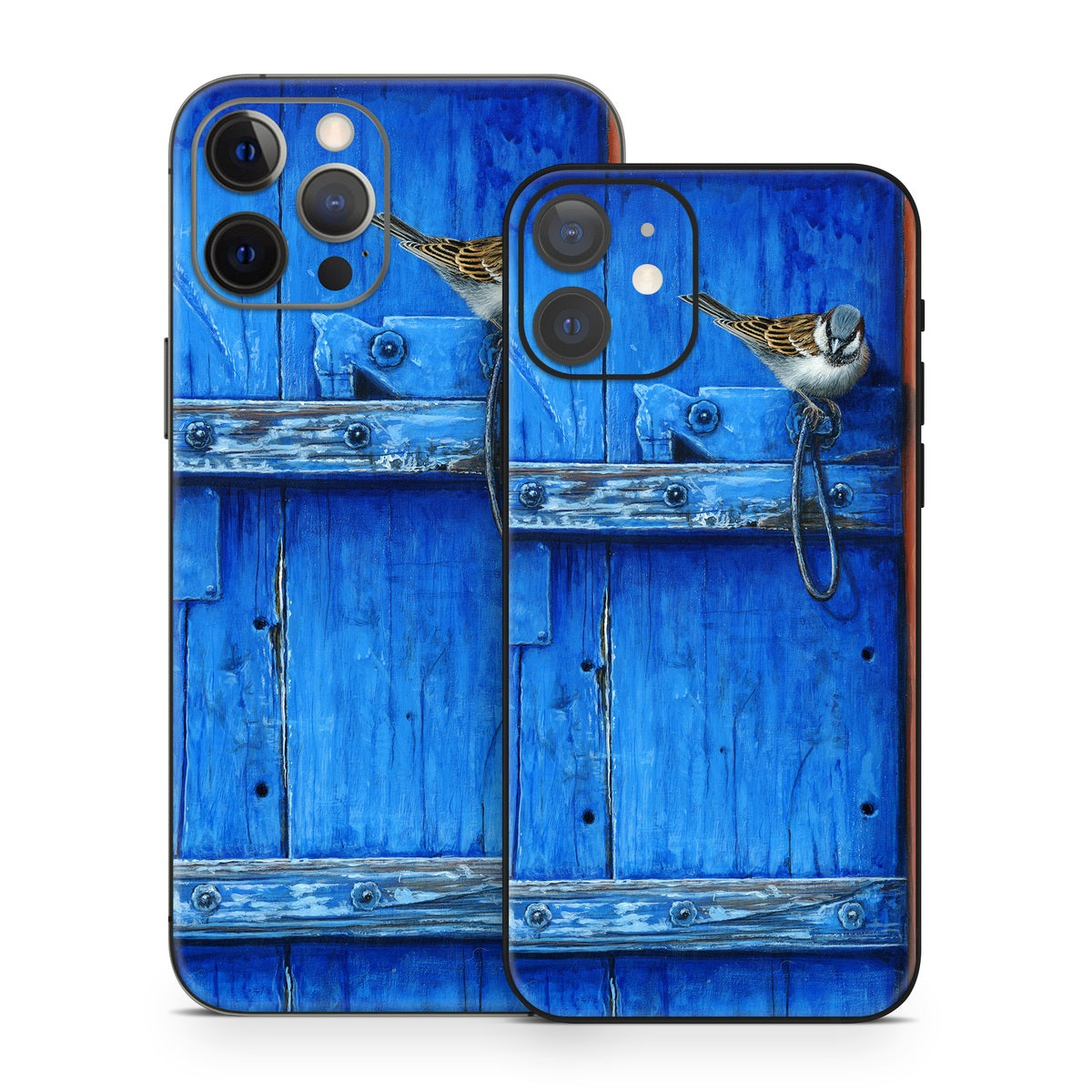 Blue Door - Apple iPhone 12 Skin