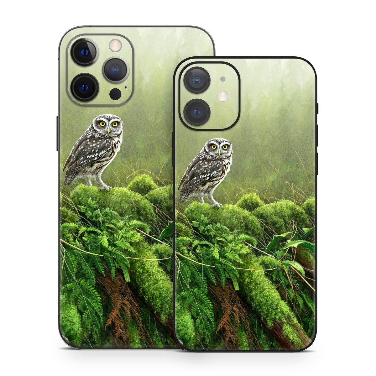 Tumbledown - Apple iPhone 12 Skin