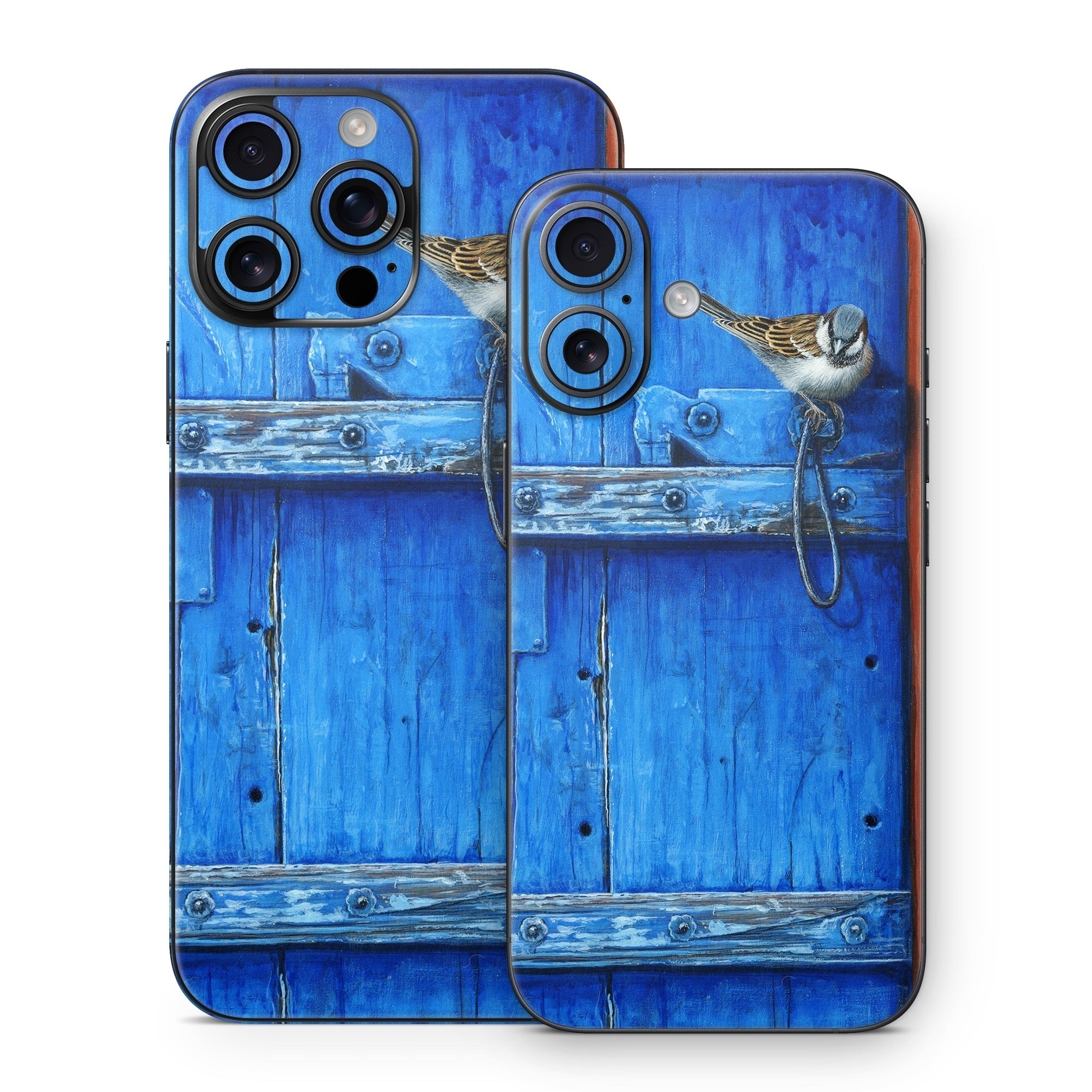 Blue Door - Apple iPhone 16 Skin