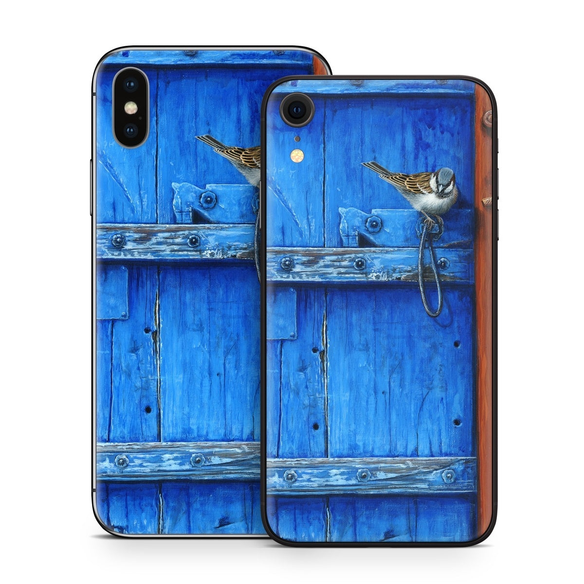 Blue Door - Apple iPhone X Skin