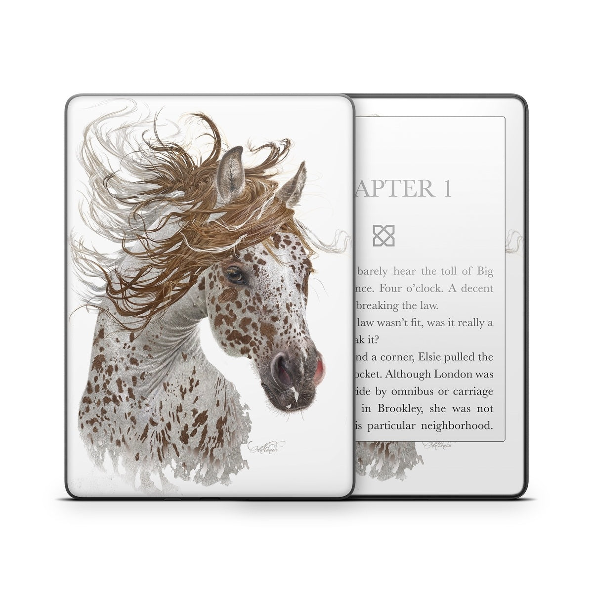 Appaloosa - Amazon Kindle Skin