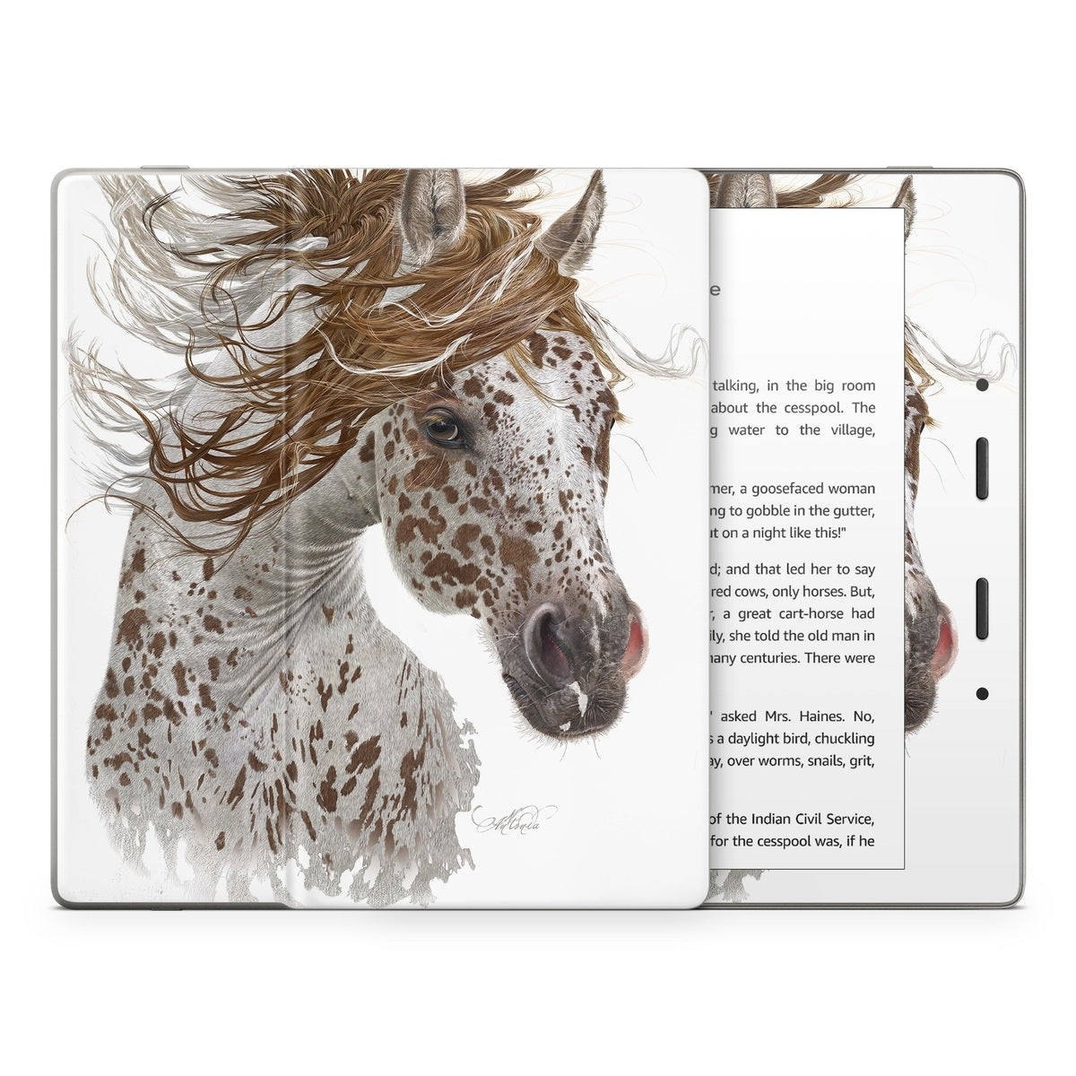 Appaloosa - Amazon Kindle Skin