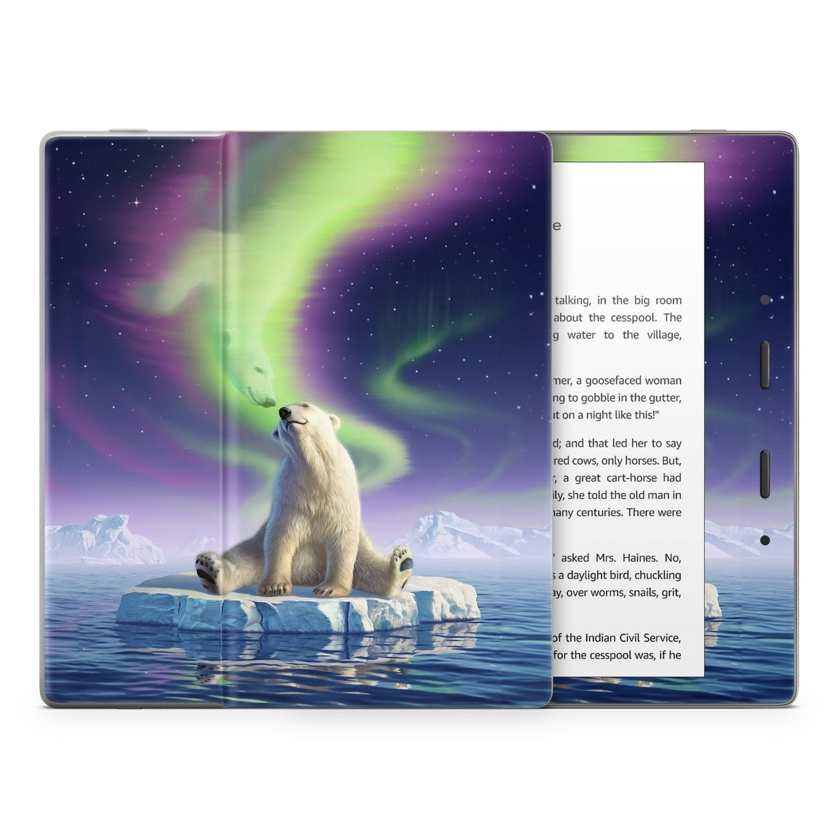 Arctic Kiss - Amazon Kindle Skin