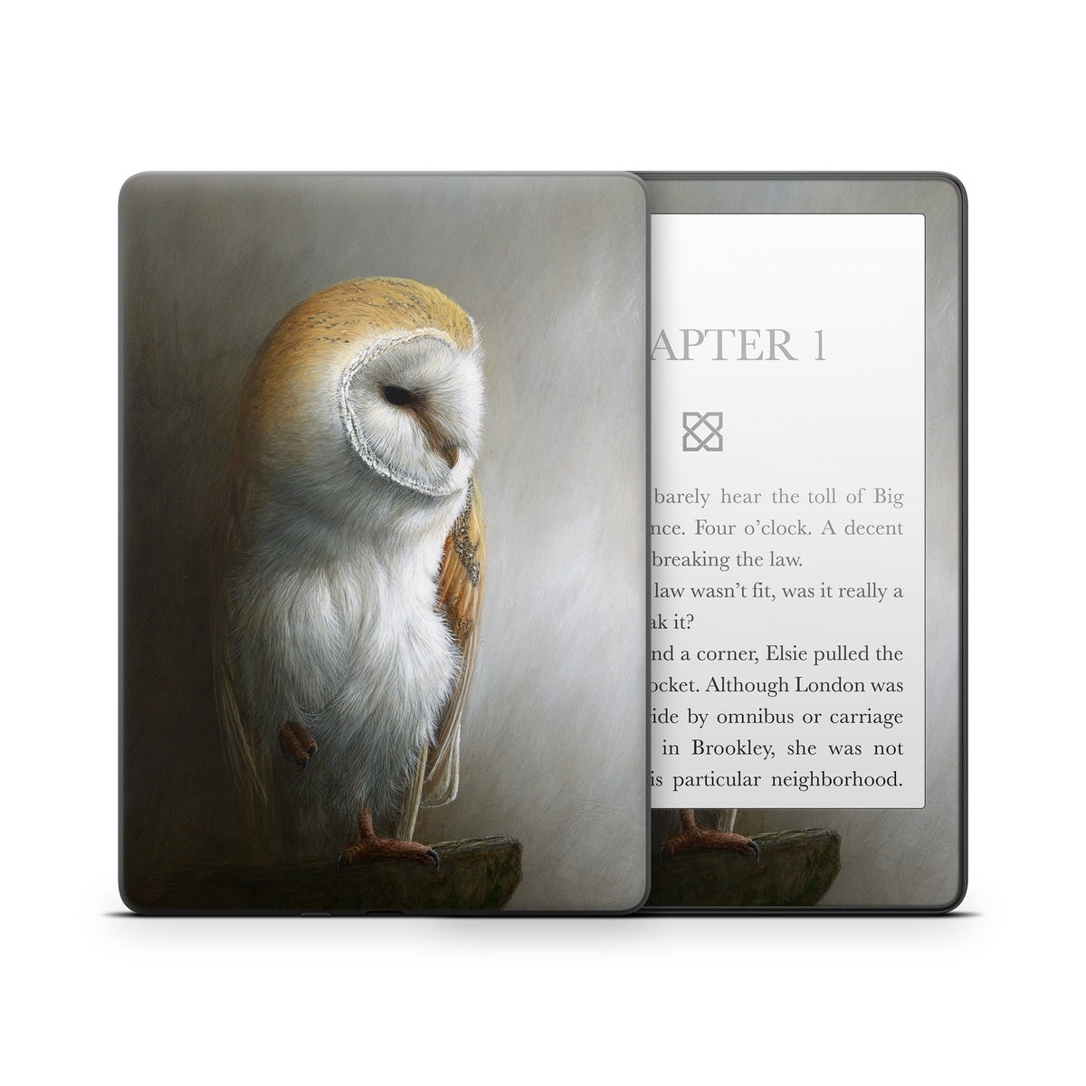 Barn Owl - Amazon Kindle Skin