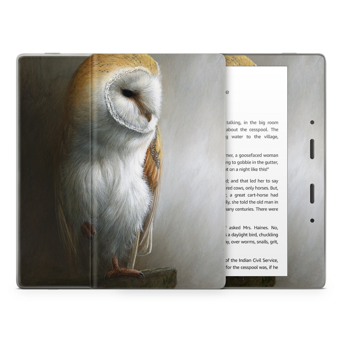 Barn Owl - Amazon Kindle Skin