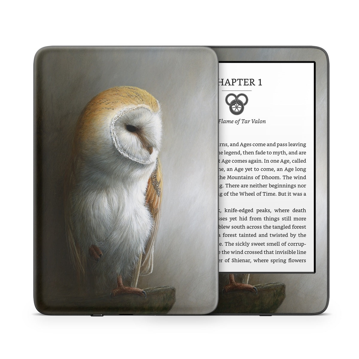 Barn Owl - Amazon Kindle Skin