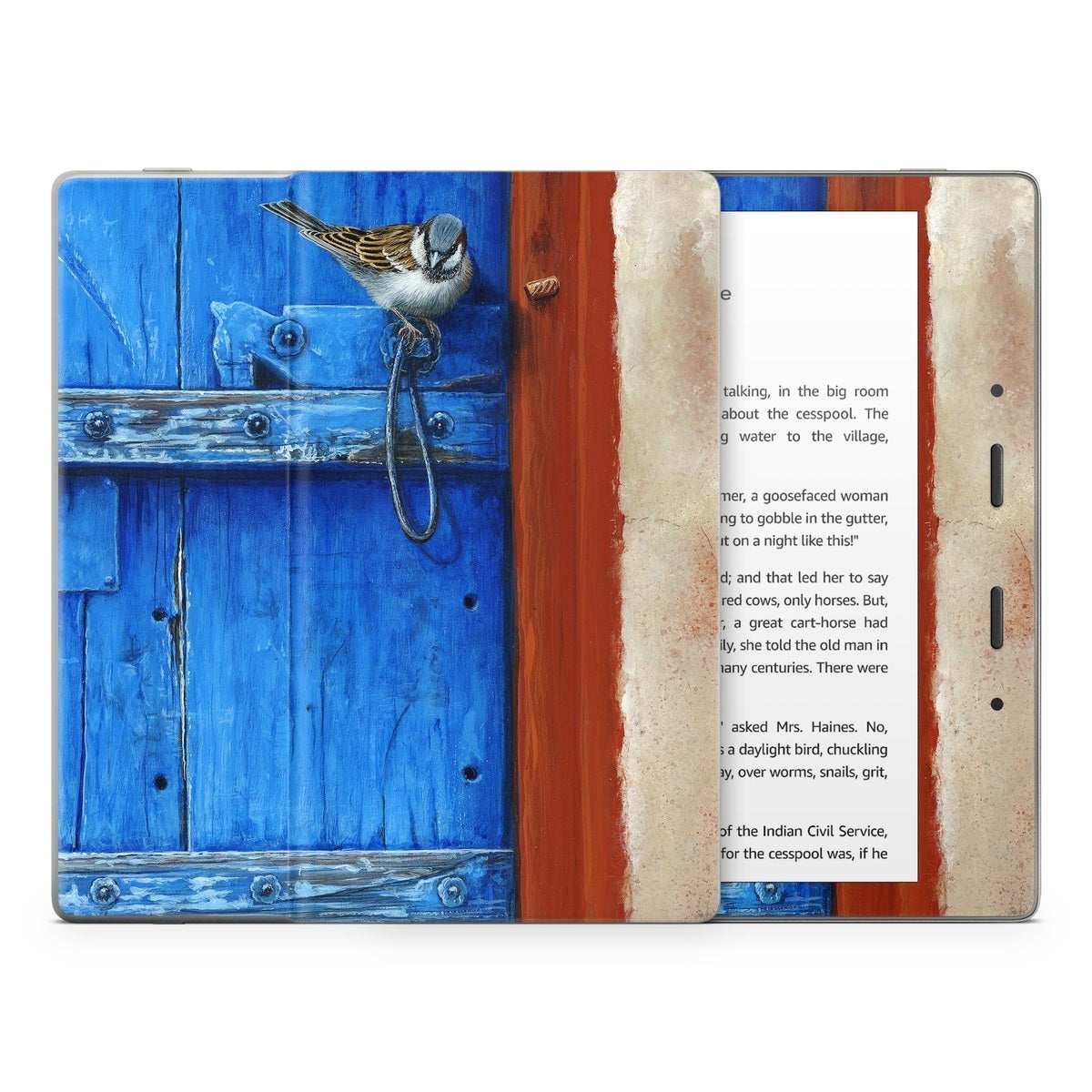 Blue Door - Amazon Kindle Skin