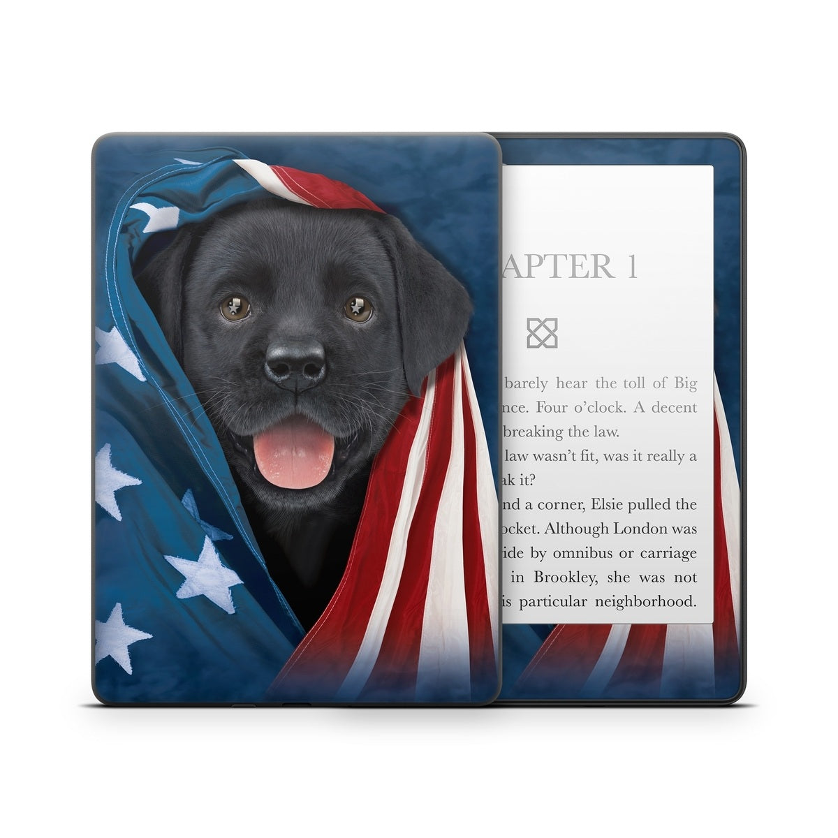 Patriotic Lab - Amazon Kindle Skin