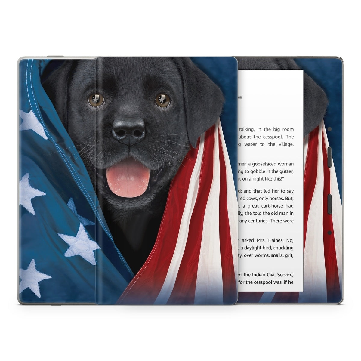 Patriotic Lab - Amazon Kindle Skin