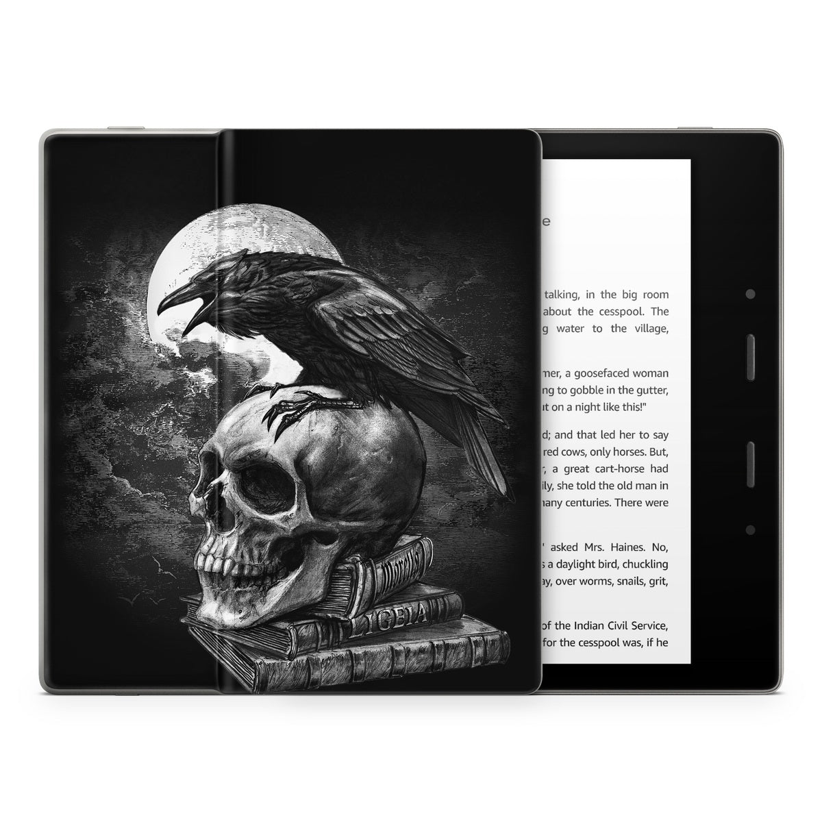 Poe's Raven - Amazon Kindle Skin