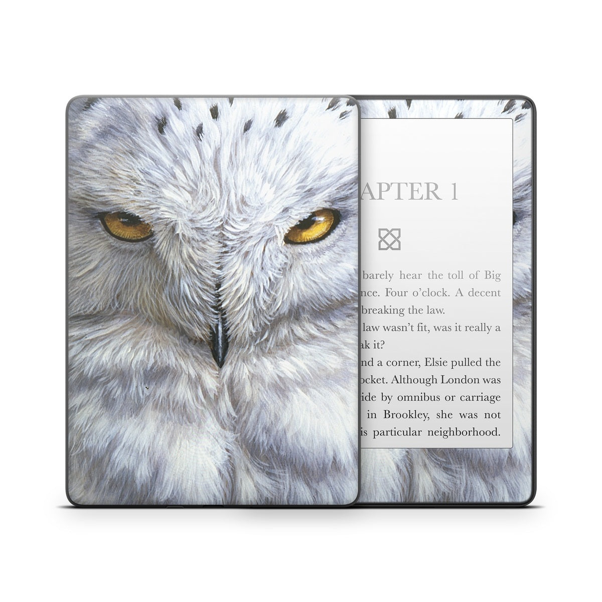 Snowy Owl - Amazon Kindle Skin