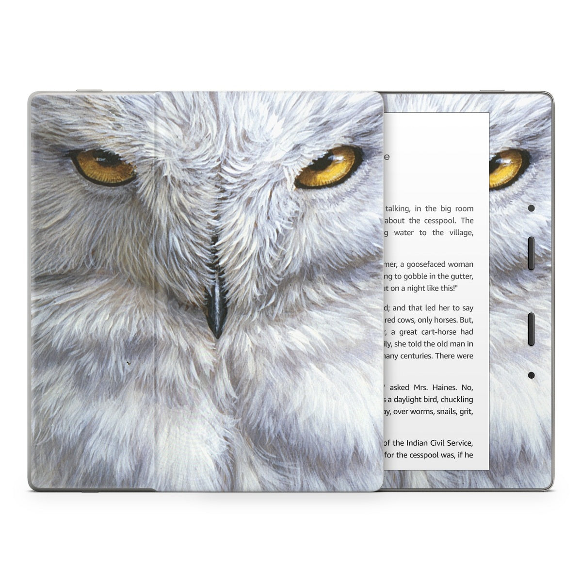 Snowy Owl - Amazon Kindle Skin