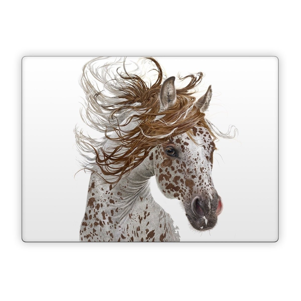 Appaloosa - Microsoft Surface Laptop Skin - Antonia Neshev - DecalGirl