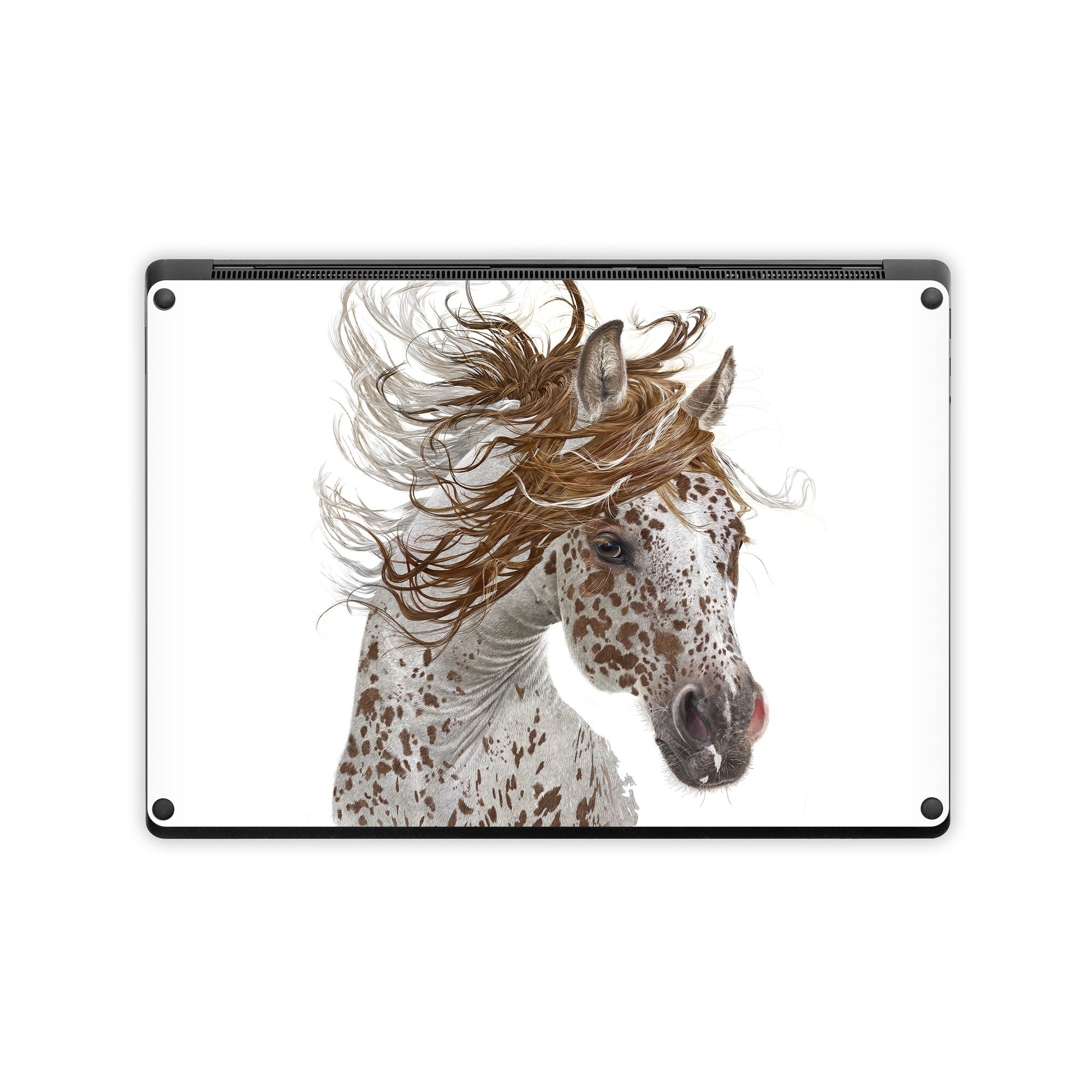 Appaloosa - Microsoft Surface Laptop Skin - Antonia Neshev - DecalGirl