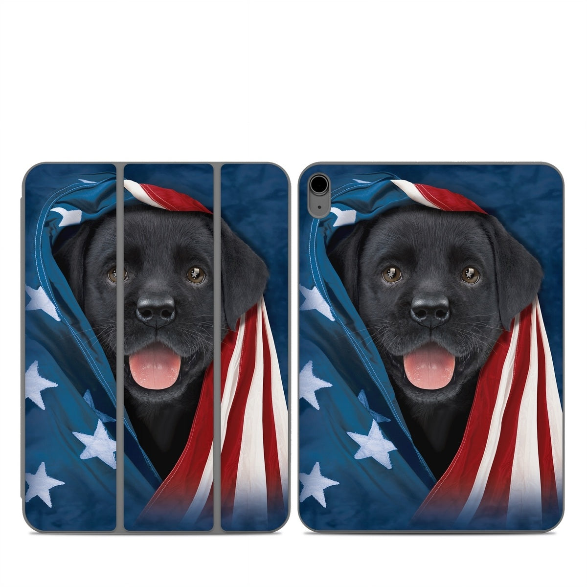 Patriotic Lab - Apple Smart Folio Skin