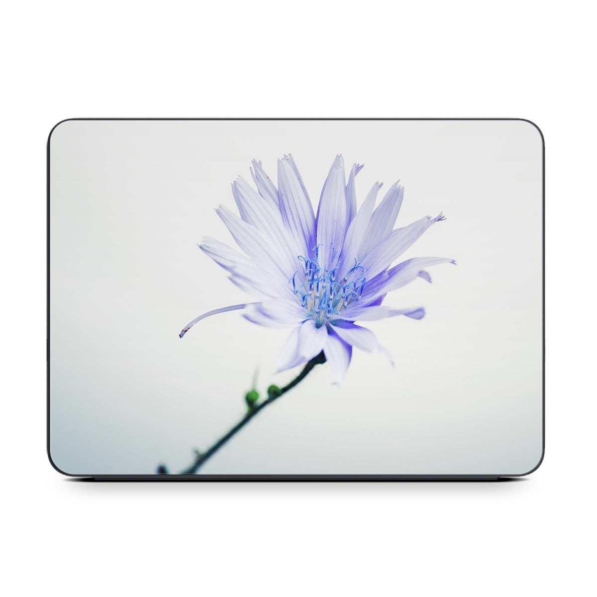 Floral - Apple Smart Keyboard Folio Skin