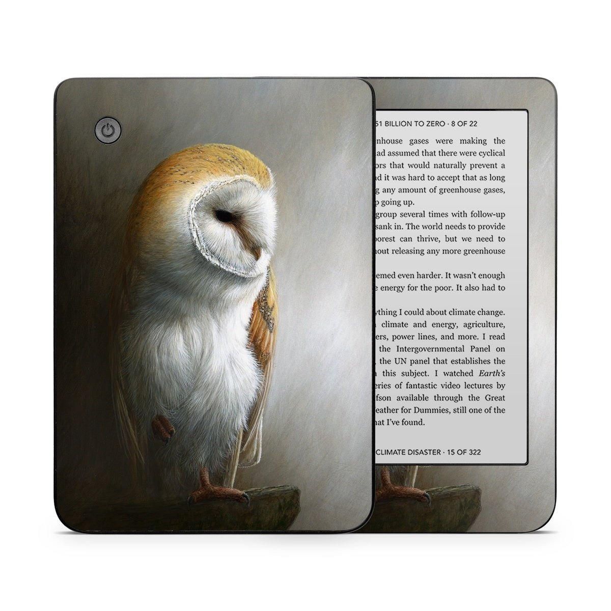 Barn Owl - Kobo Clara 2E Skin - Jeremy Paul - DecalGirl