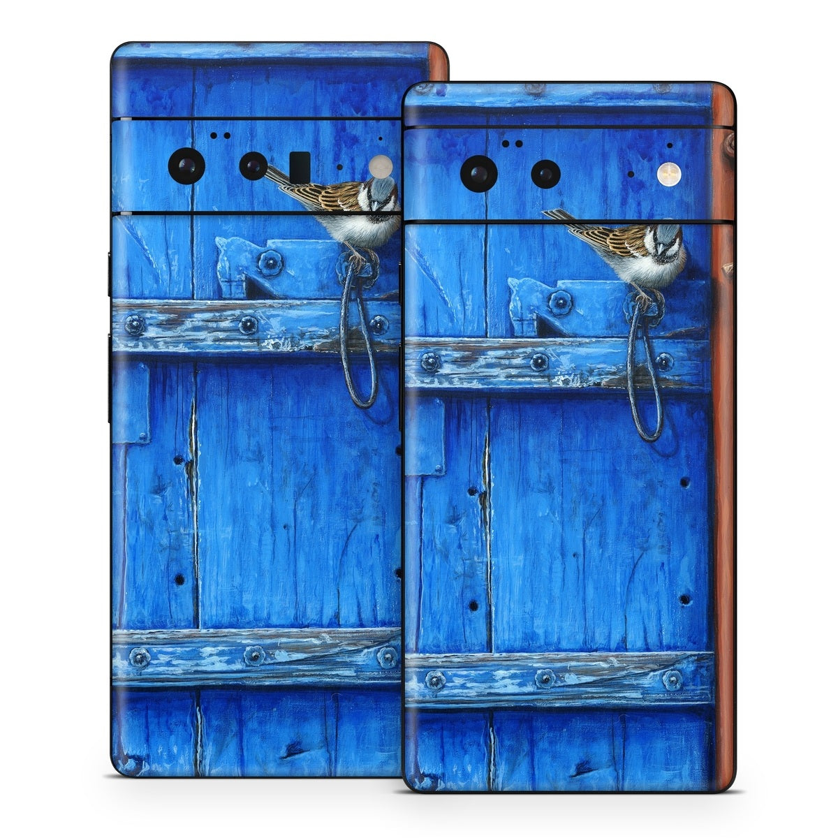 Blue Door - Google Pixel 6 Skin