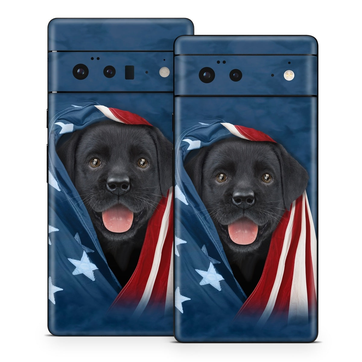 Patriotic Lab - Google Pixel 6 Skin