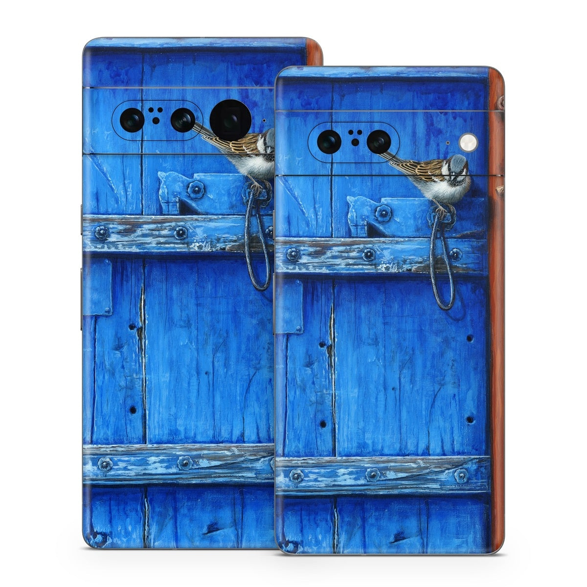 Blue Door - Google Pixel 7 Skin