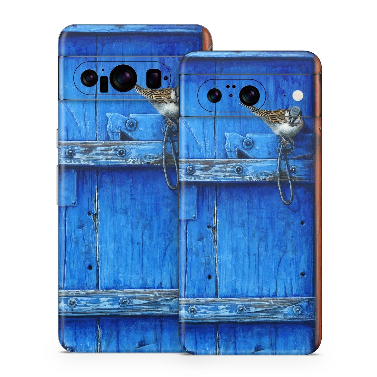 Blue Door - Google Pixel 8 Skin