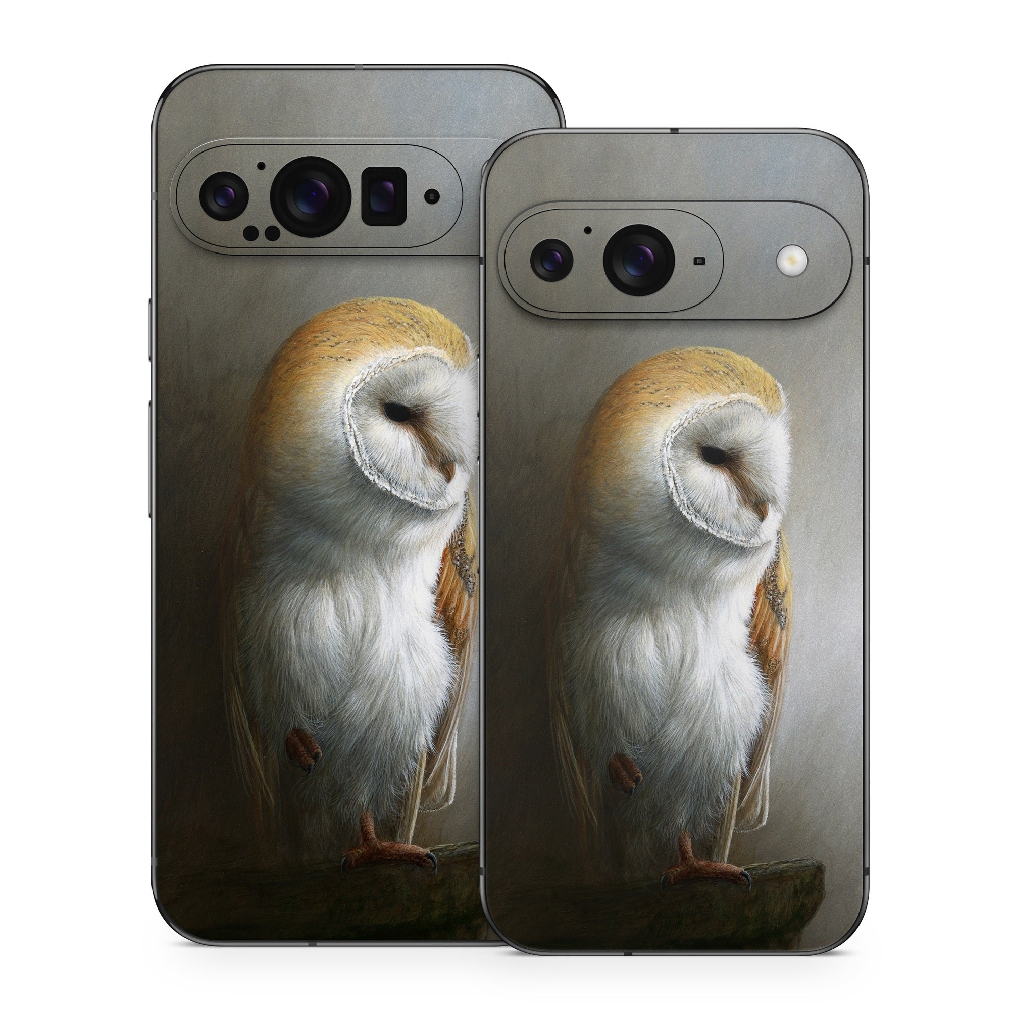 Barn Owl - Google Pixel 9 Skin