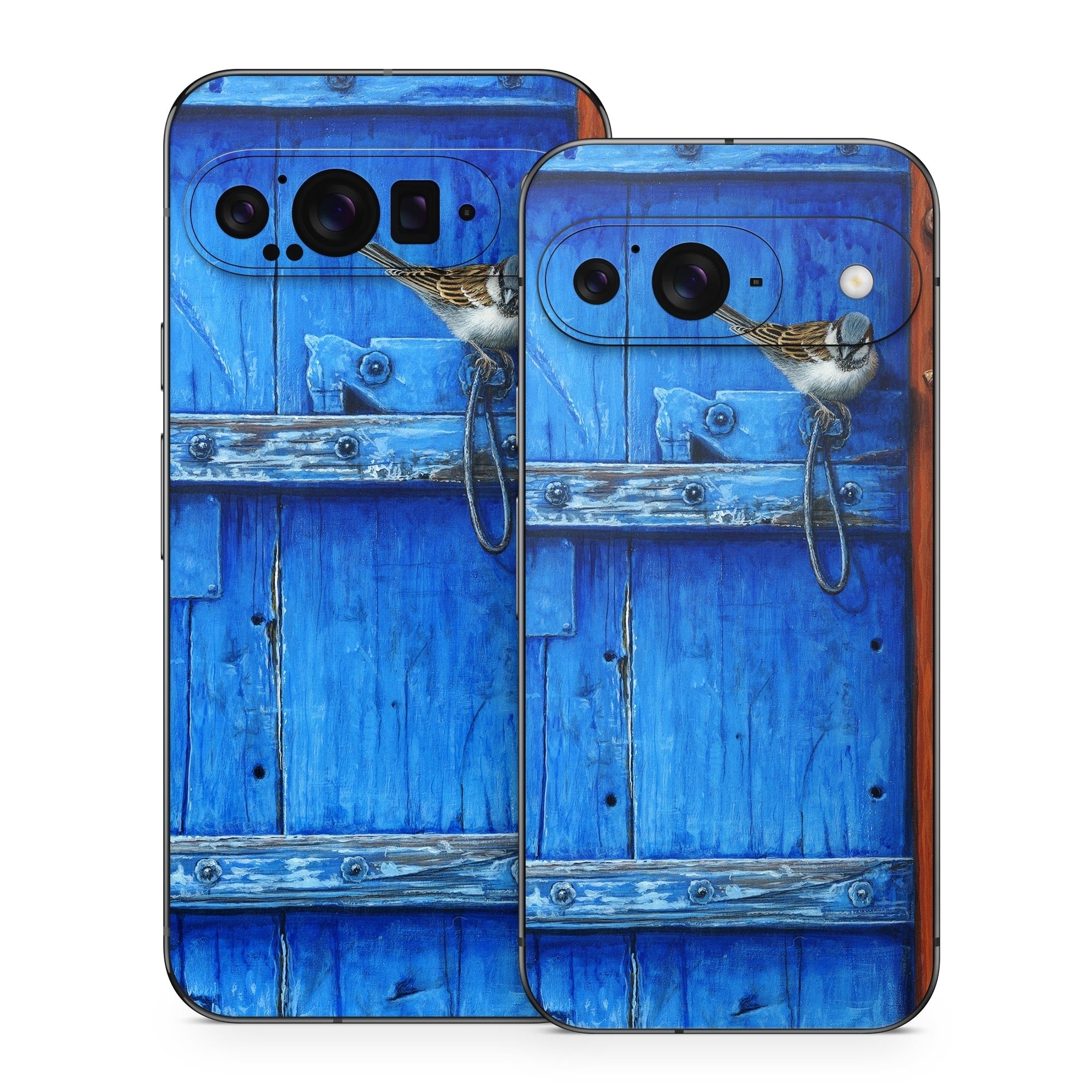 Blue Door - Google Pixel 9 Skin