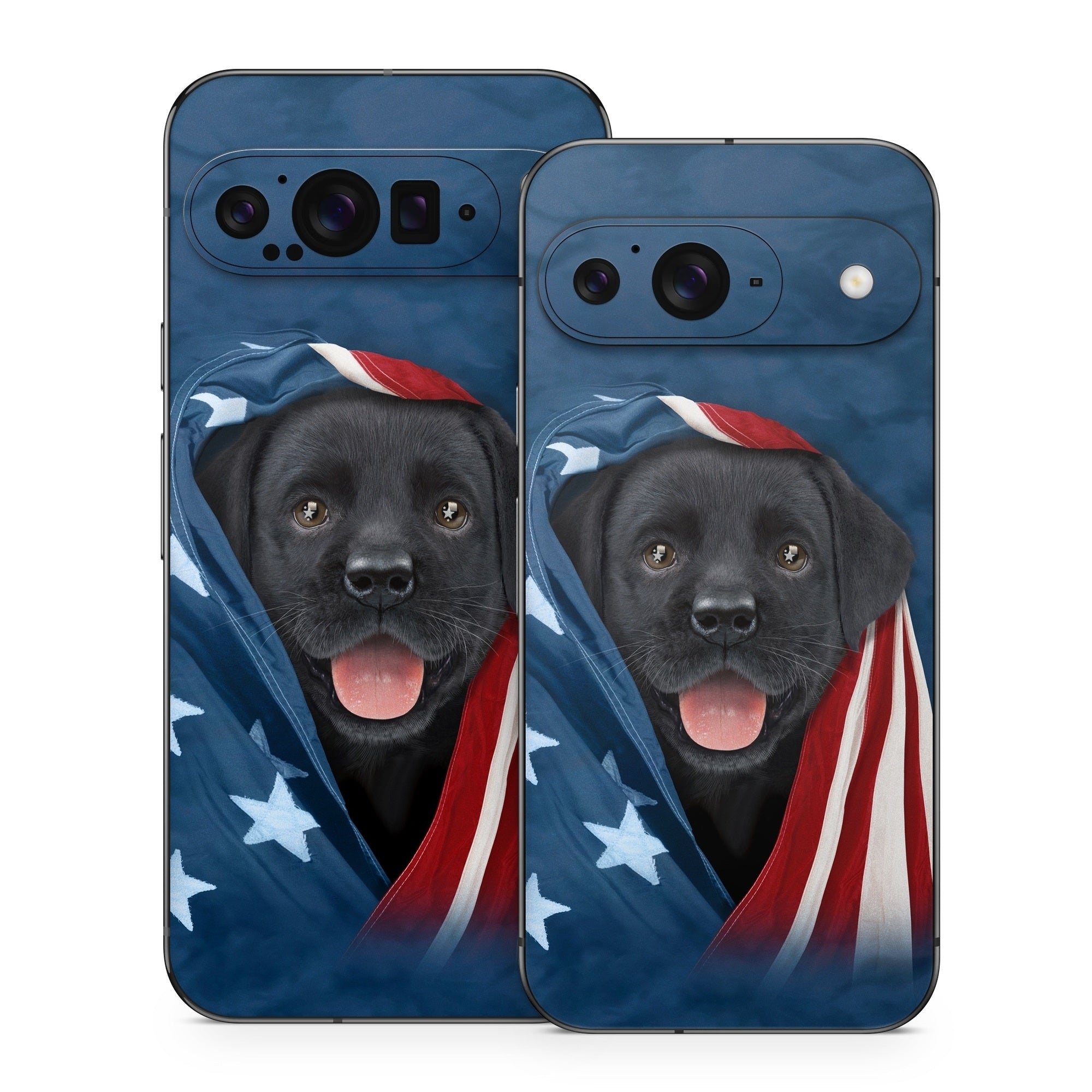 Patriotic Lab - Google Pixel 9 Skin