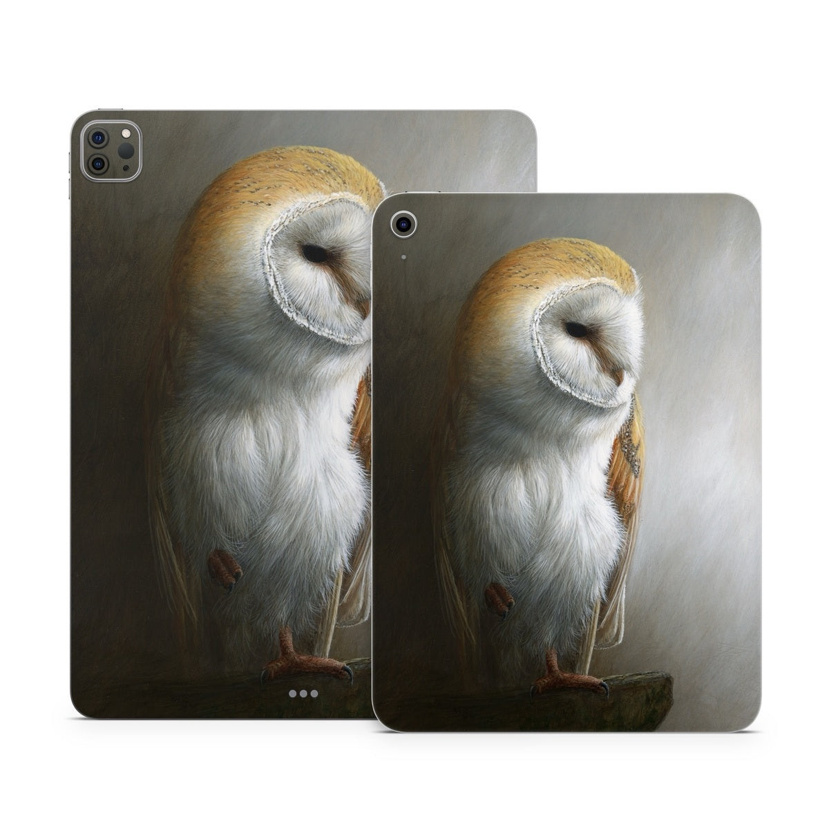 Barn Owl - Apple iPad Skin