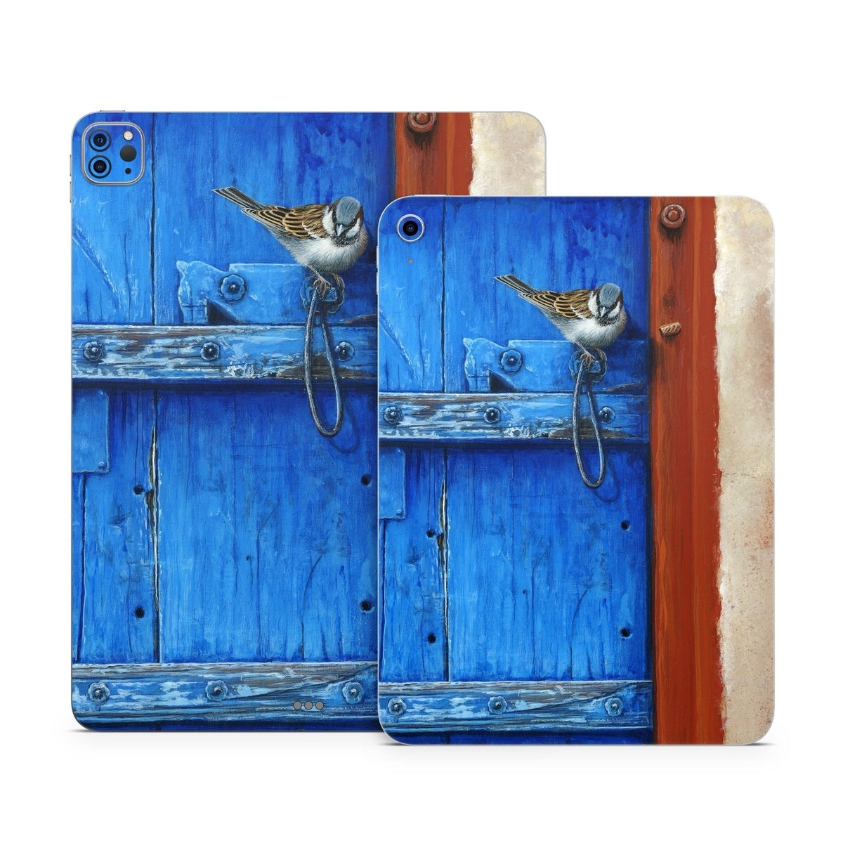 Blue Door - Apple iPad Skin