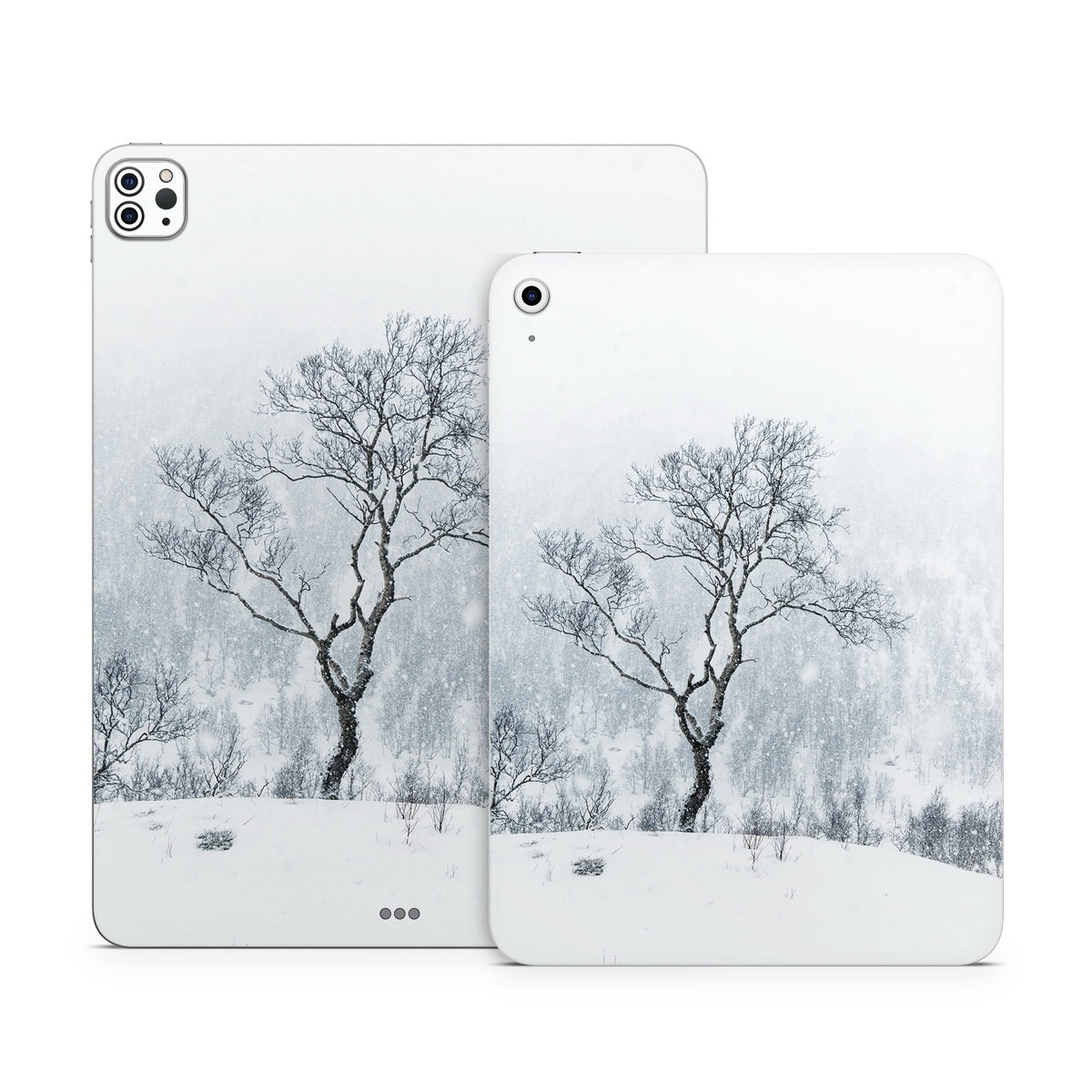 Winter Is Coming - Apple iPad Skin