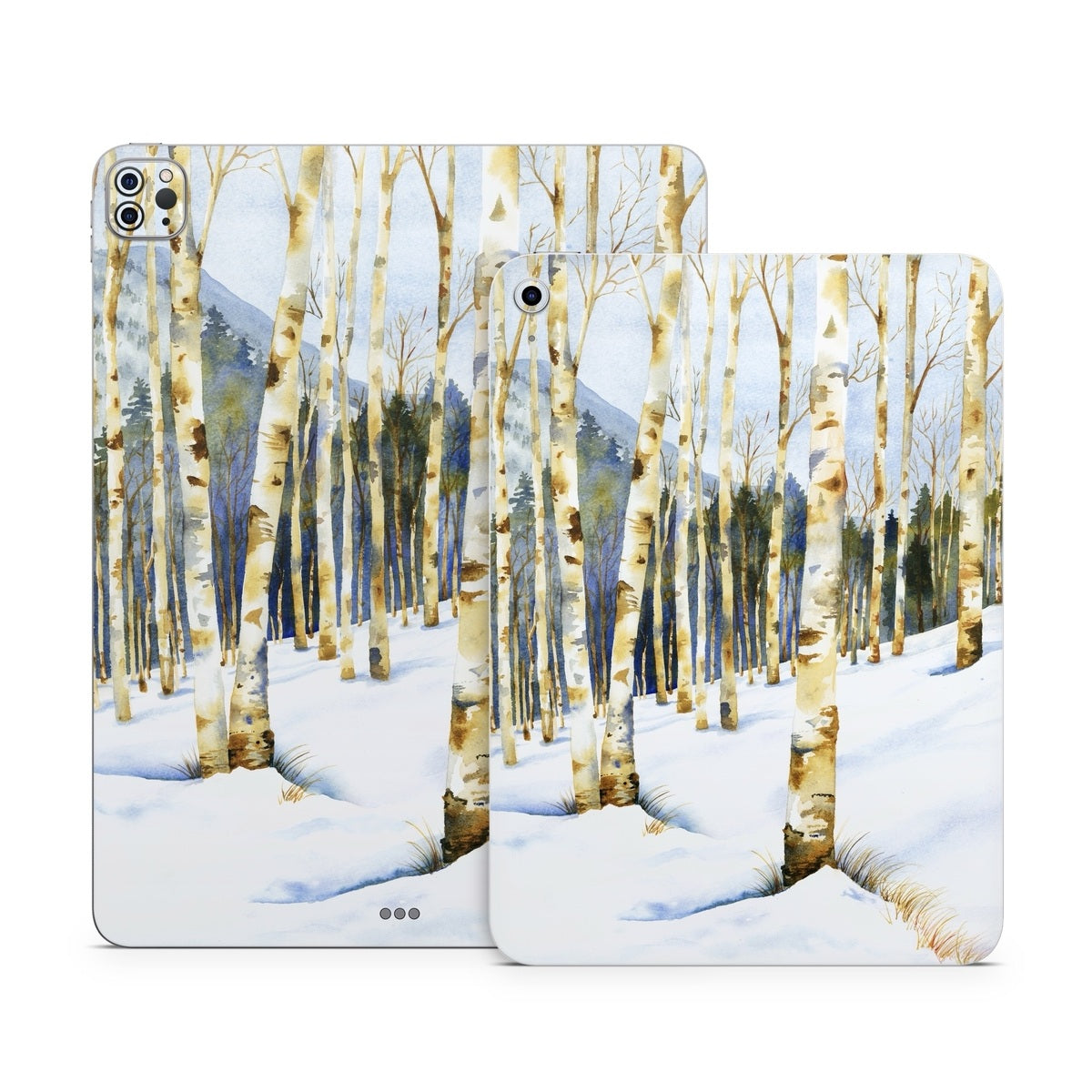 Winter Solstice - Apple iPad Skin