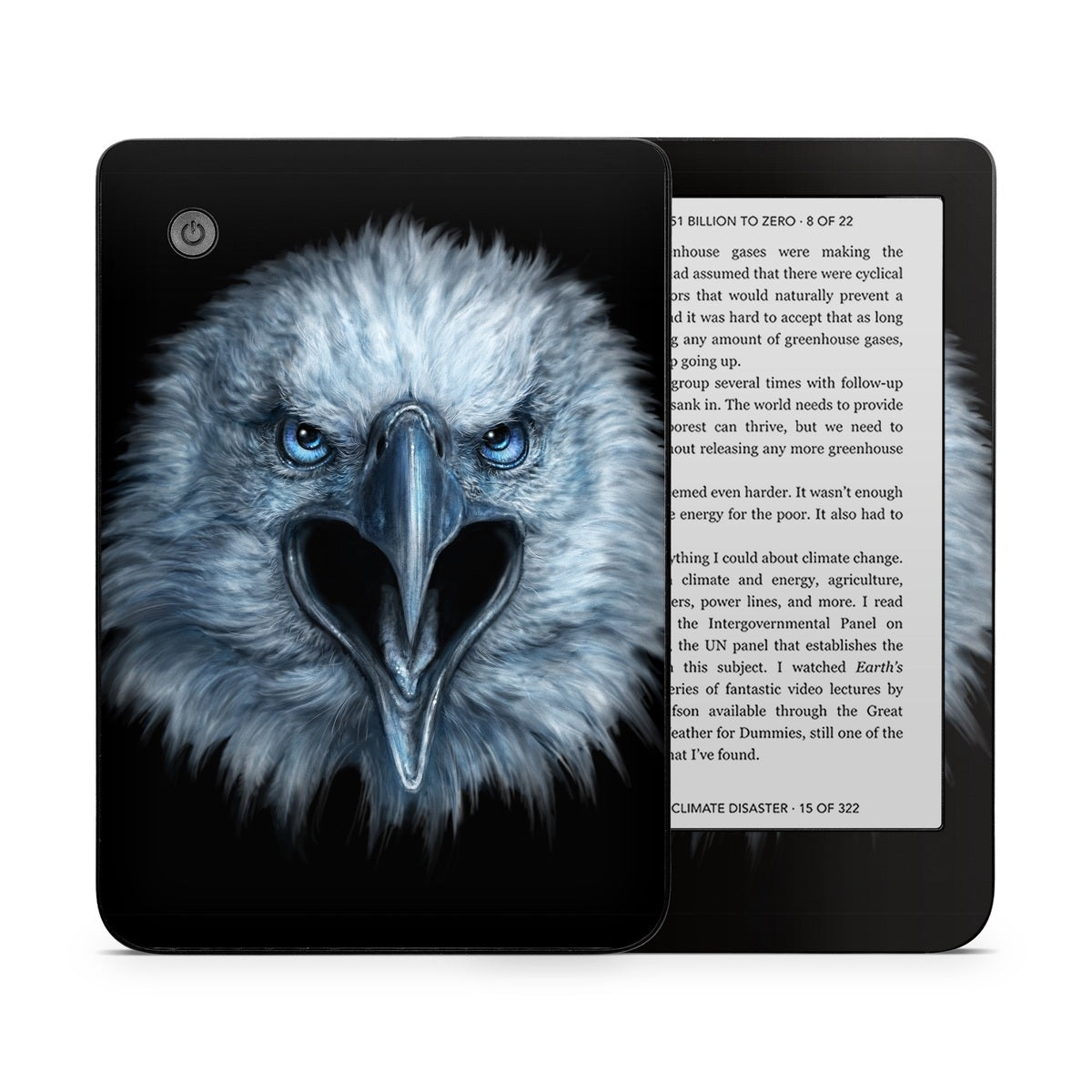 Eagle Face - Kobo Clara 2E Skin