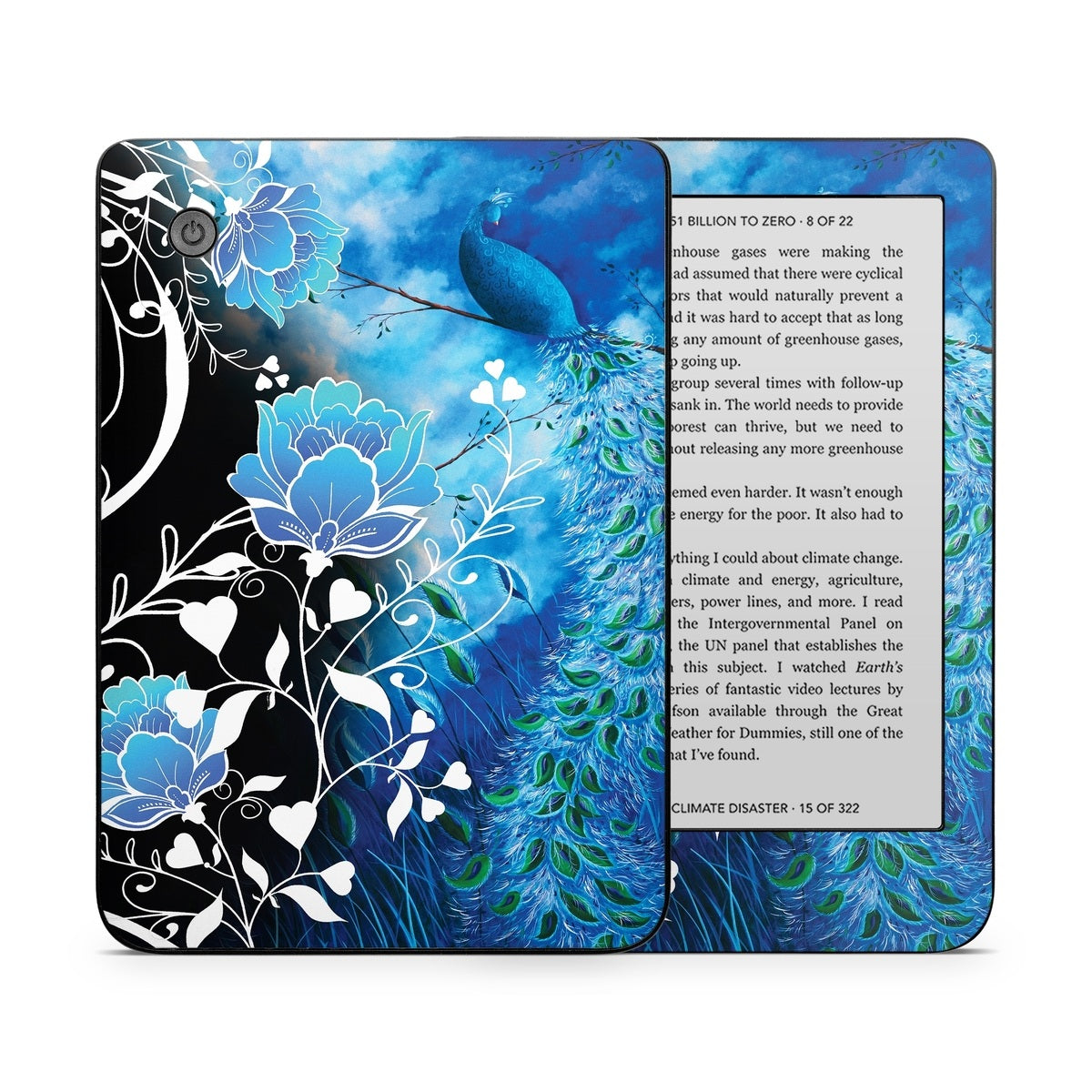 Peacock Sky - Kobo Clara 2E Skin