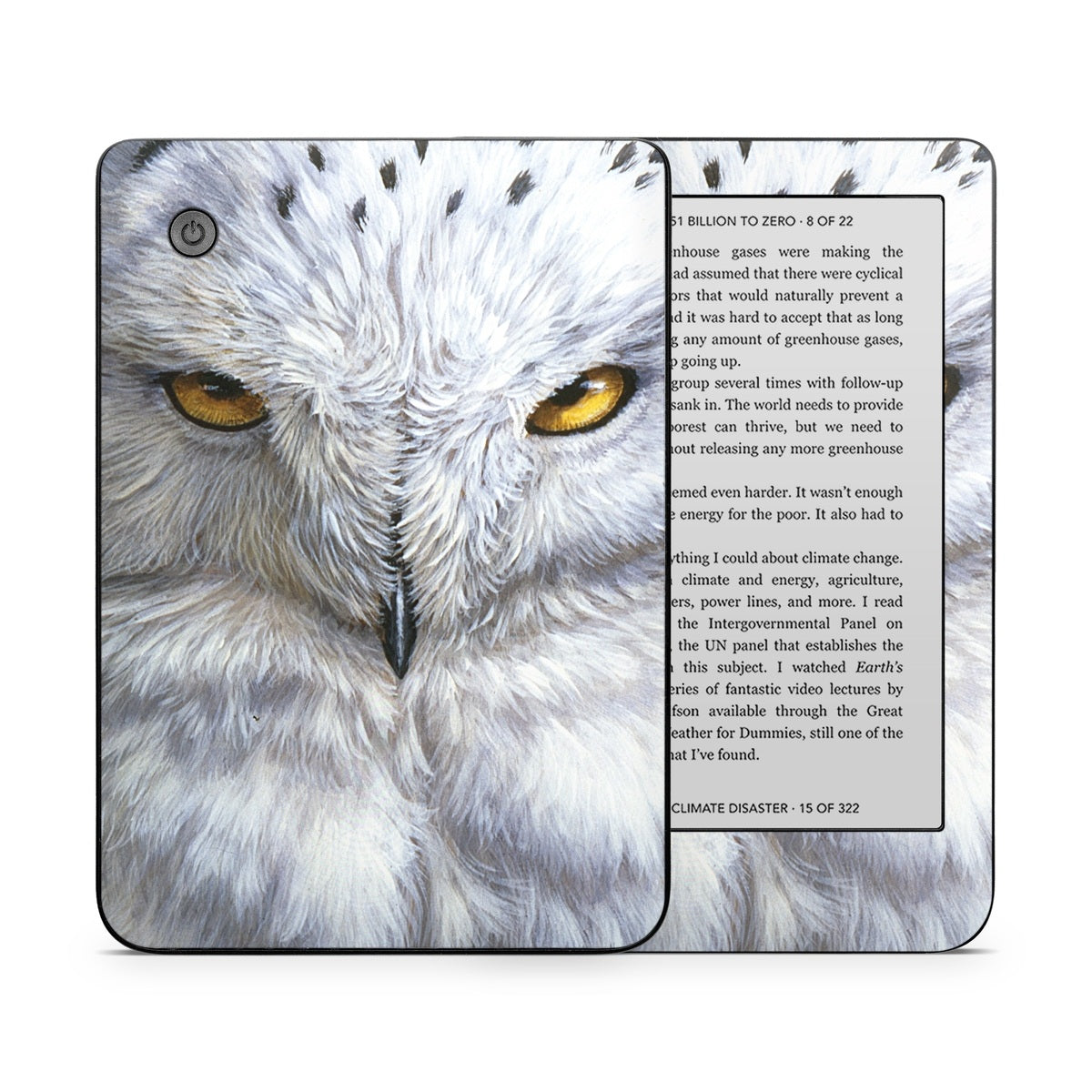 Snowy Owl - Kobo Clara 2E Skin