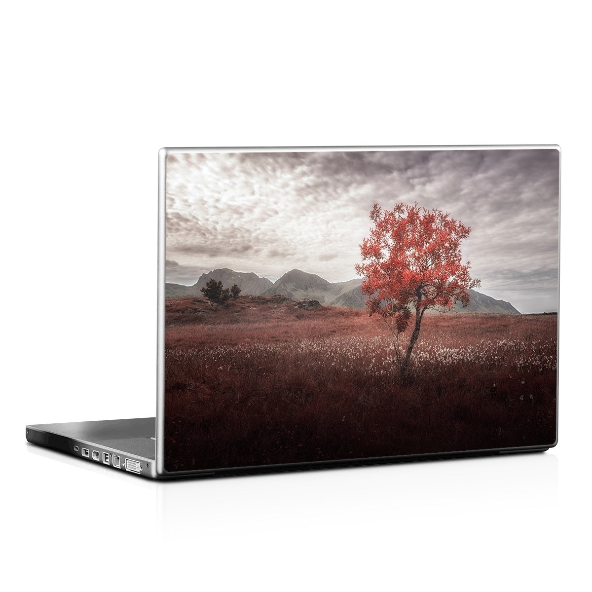 Lofoten Tree - Laptop Lid Skin