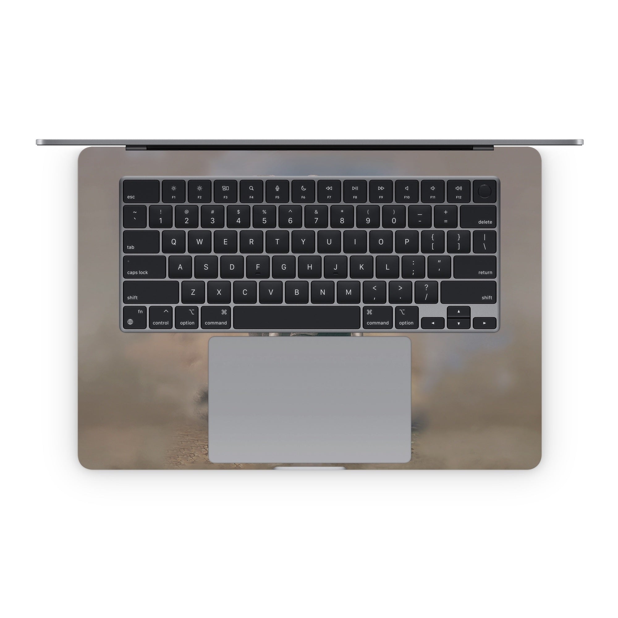 African Elephant - Apple MacBook Skin