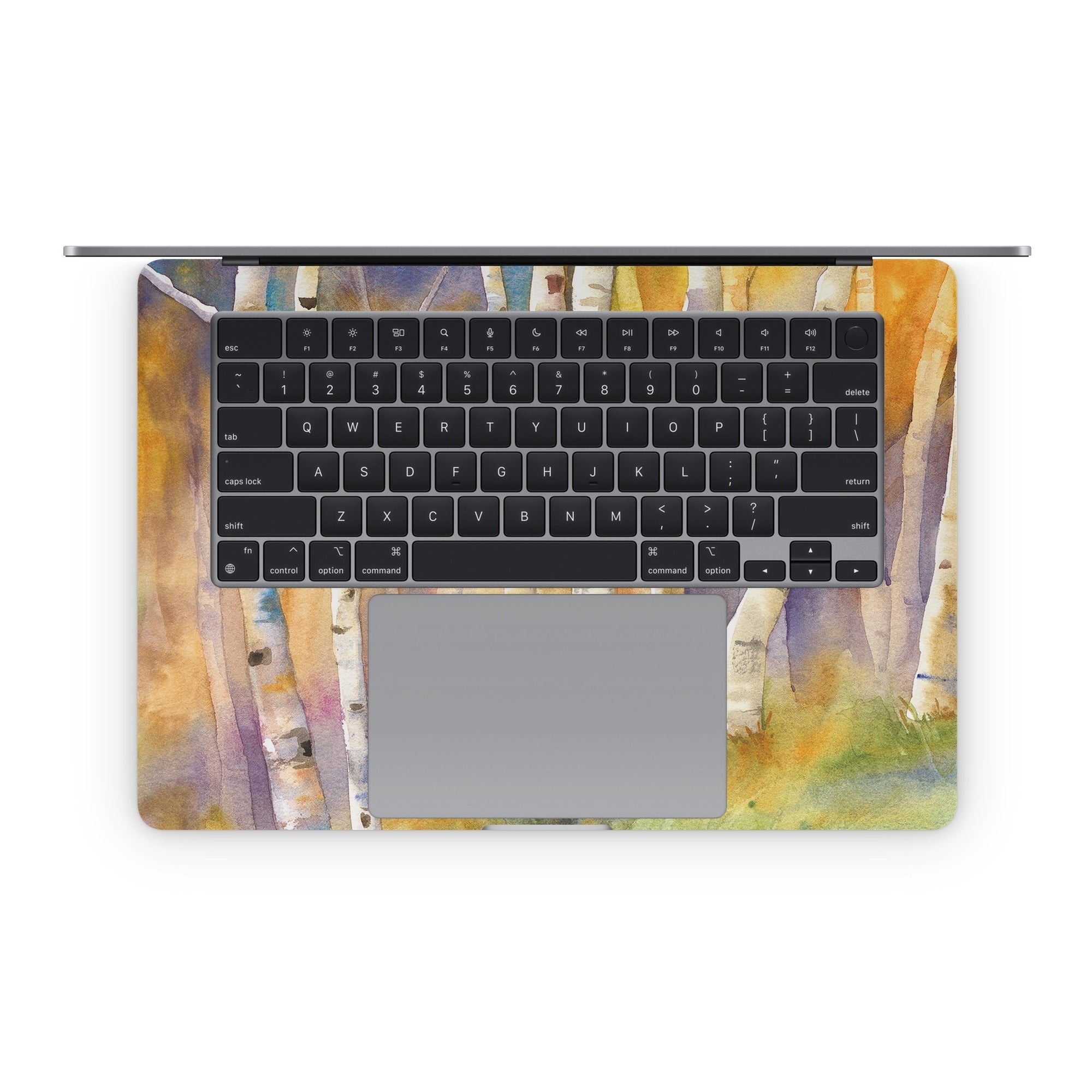 Aspens - Apple MacBook Skin