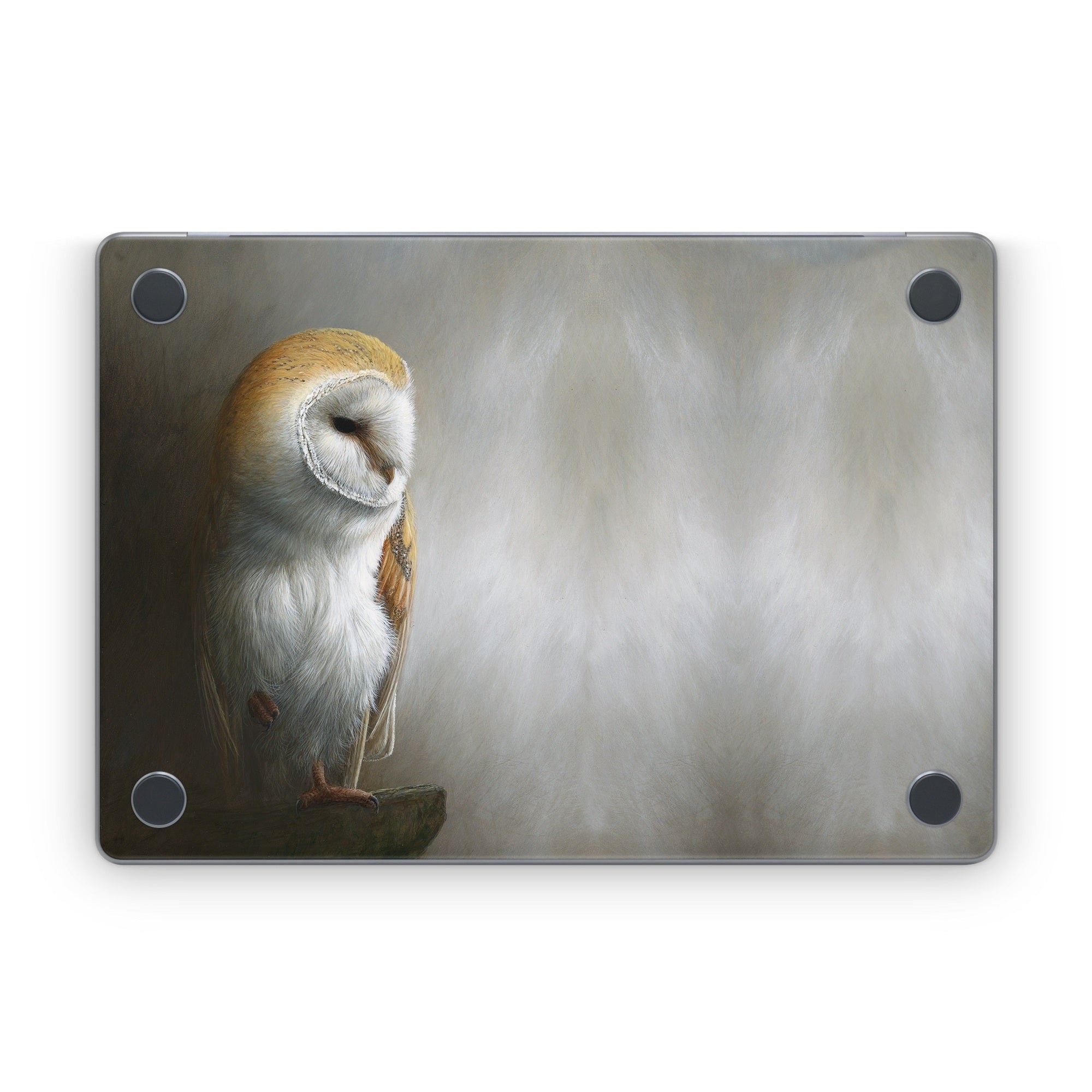 Barn Owl - Apple MacBook Skin