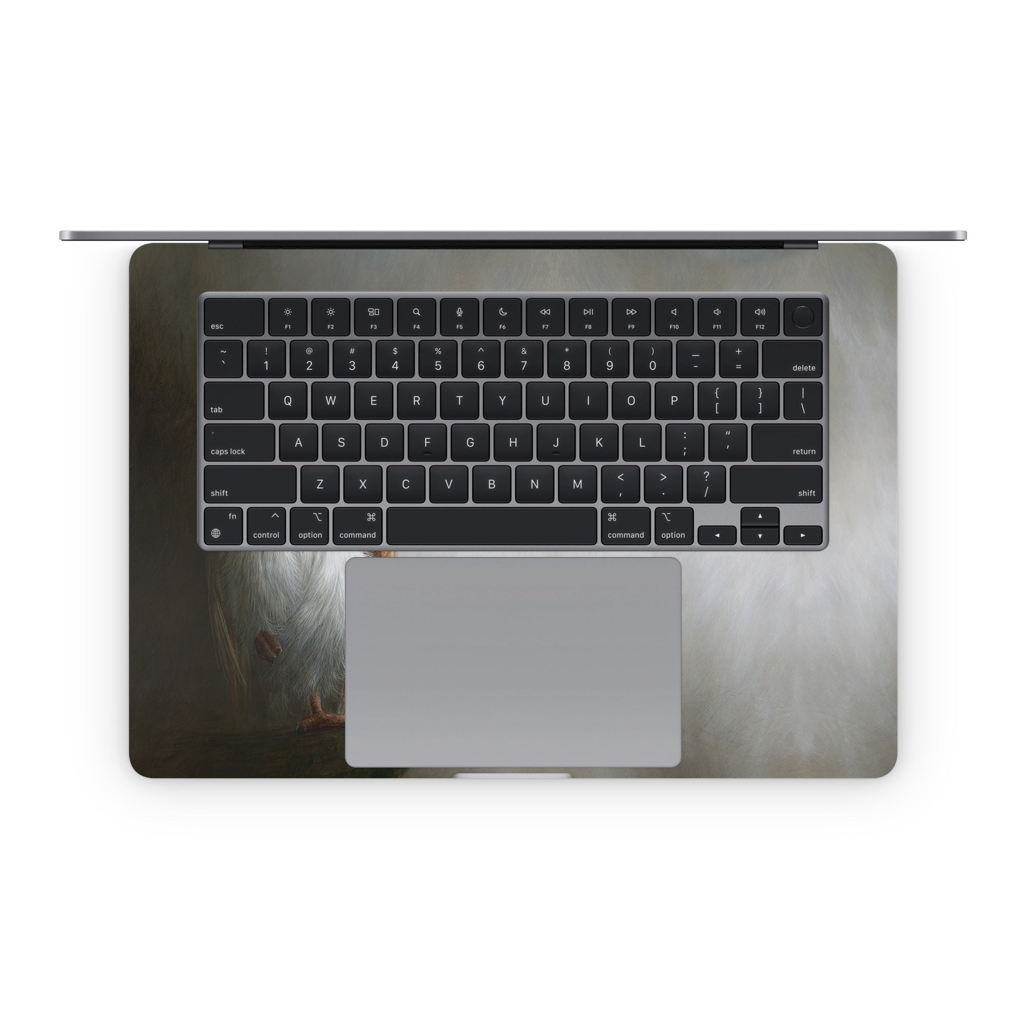 Barn Owl - Apple MacBook Skin