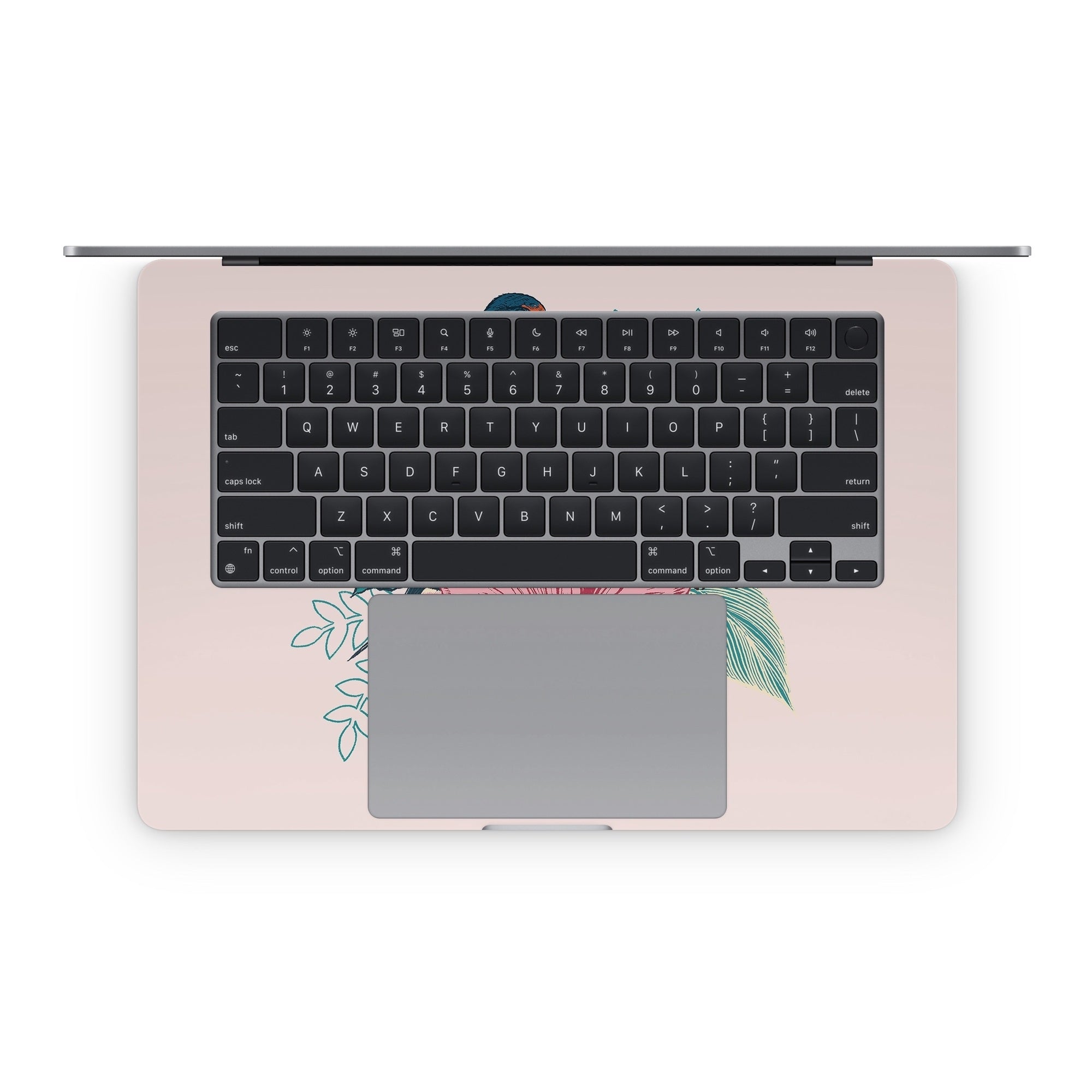 Barn Swallows - Apple MacBook Skin