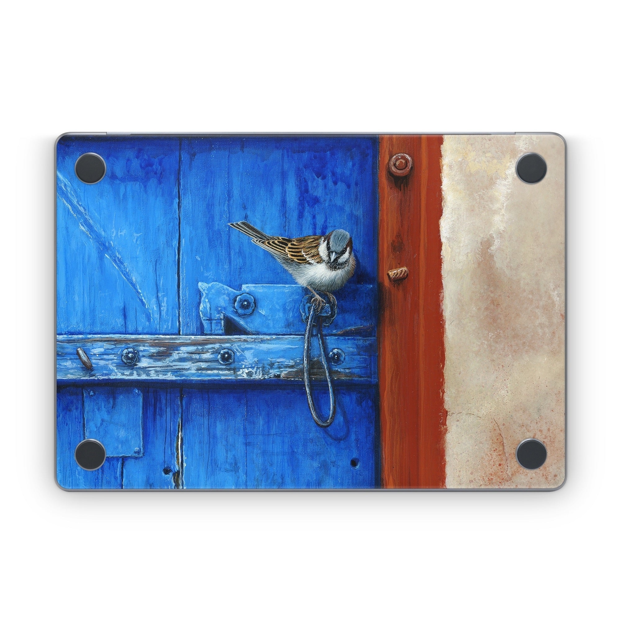 Blue Door - Apple MacBook Skin