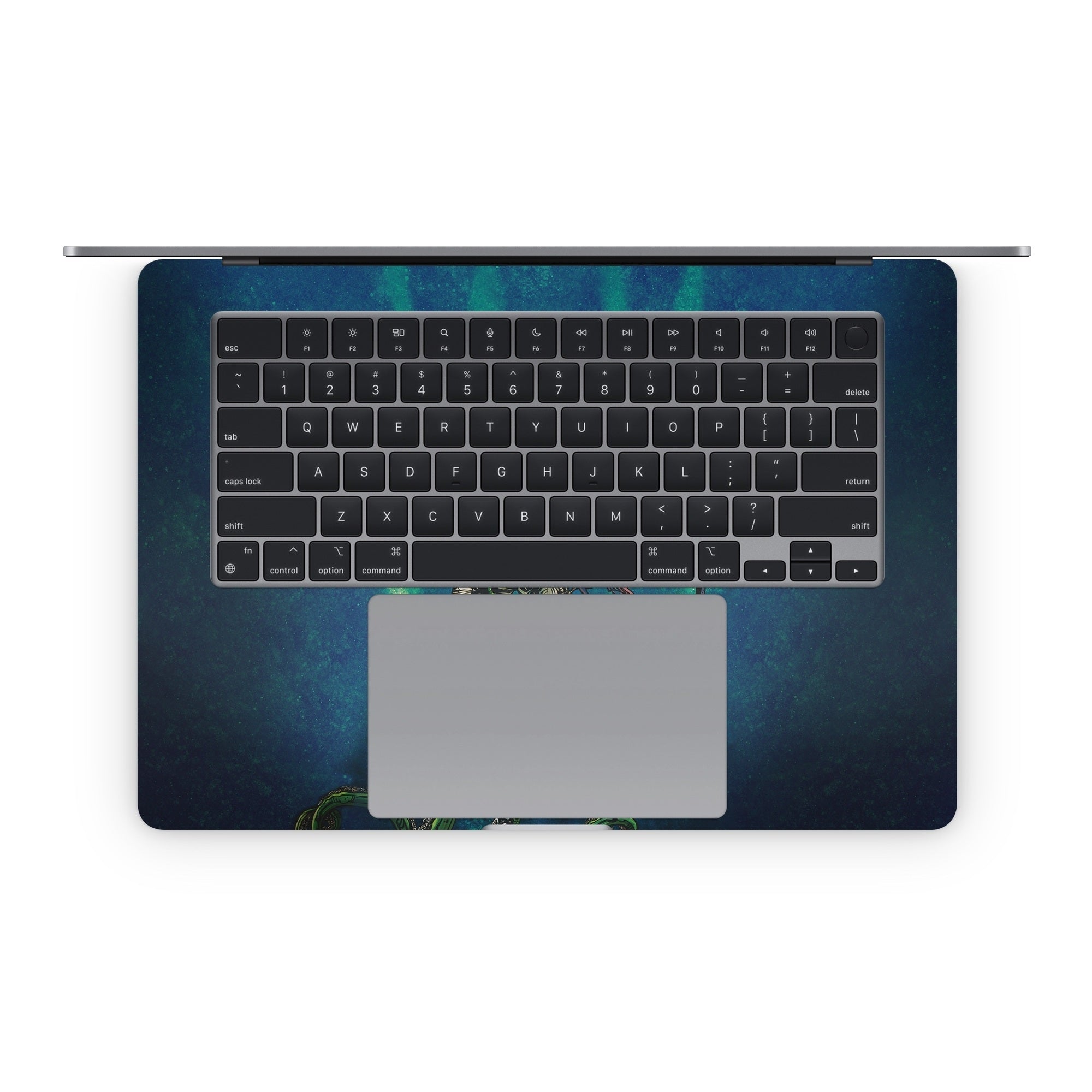 Catch Or Release - Apple MacBook Skin