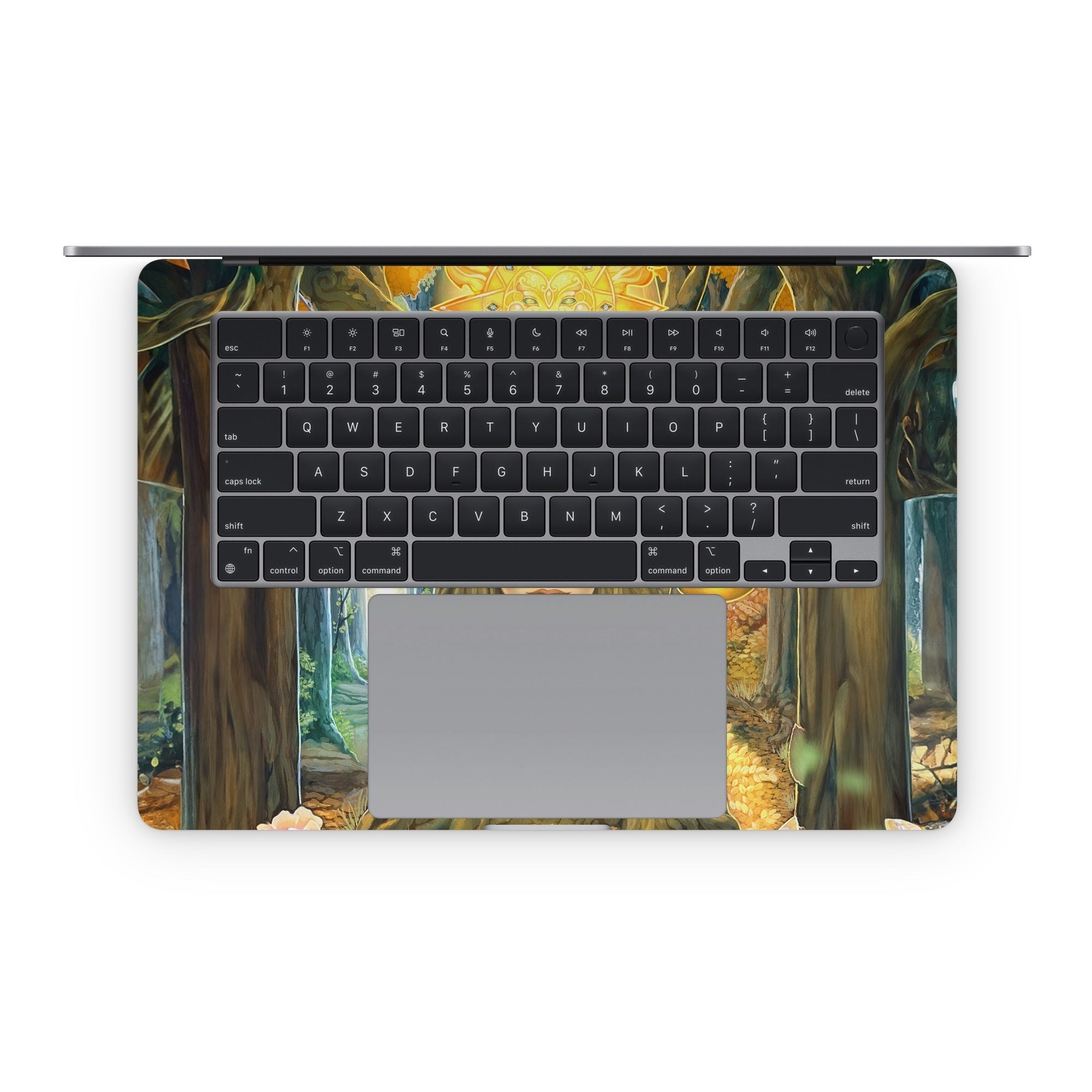 Cause And Effect - Apple MacBook Skin