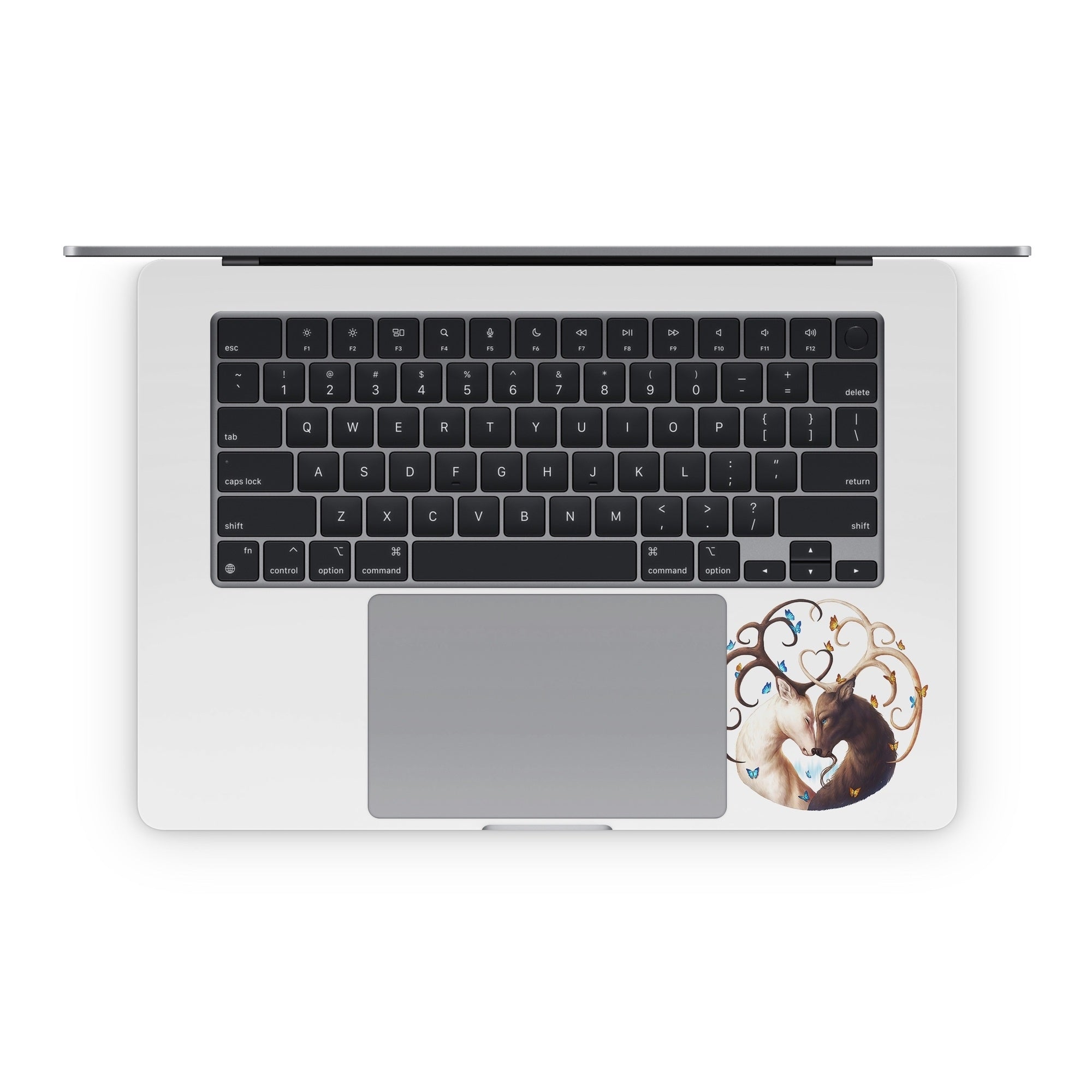 Circle of Life - Apple MacBook Skin