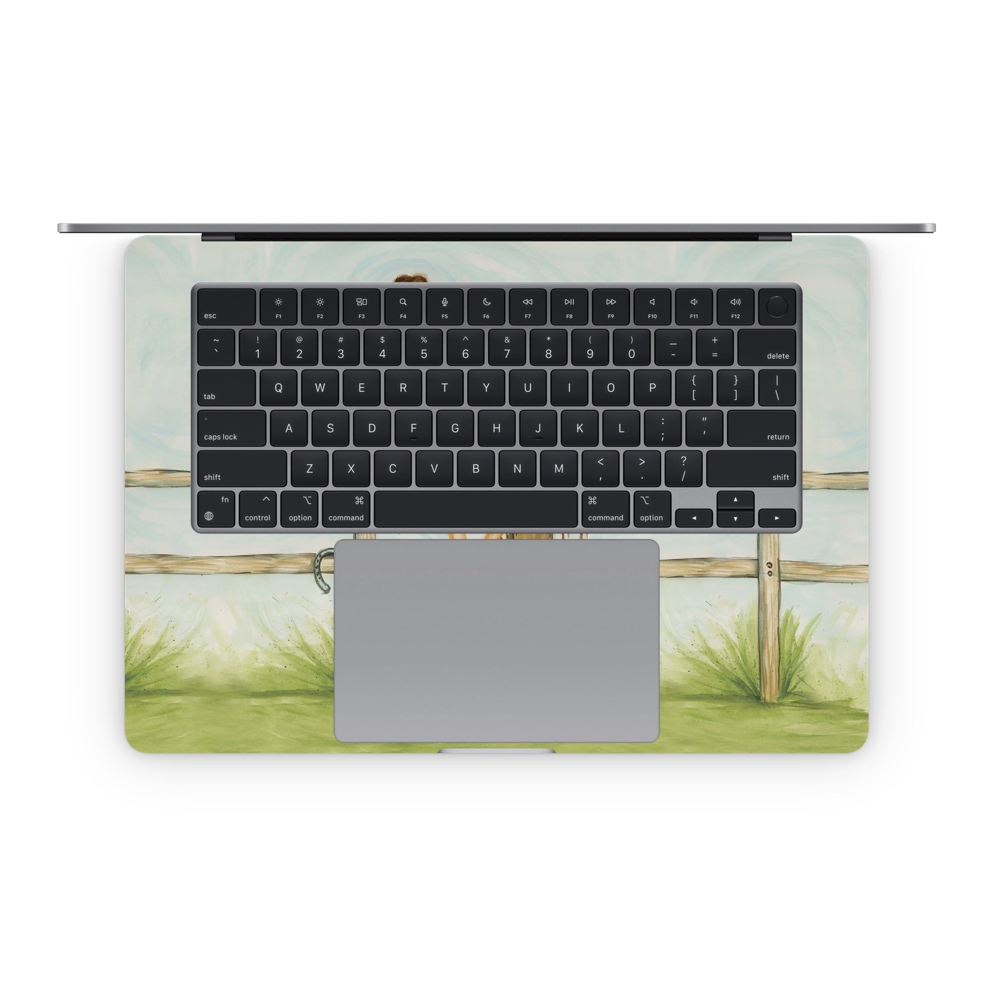 Cowgirl Glam - Apple MacBook Skin