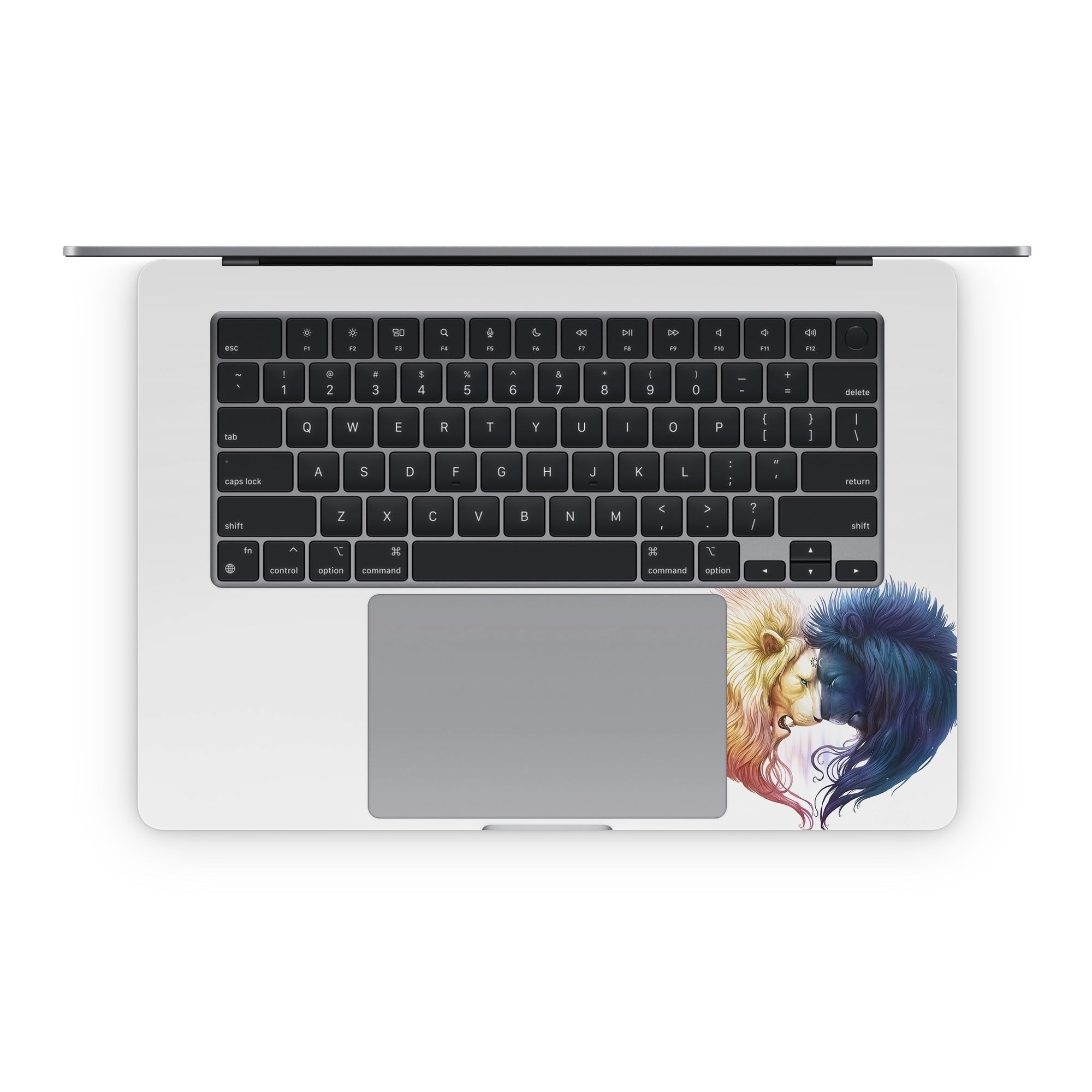 Day And Night - Apple MacBook Skin