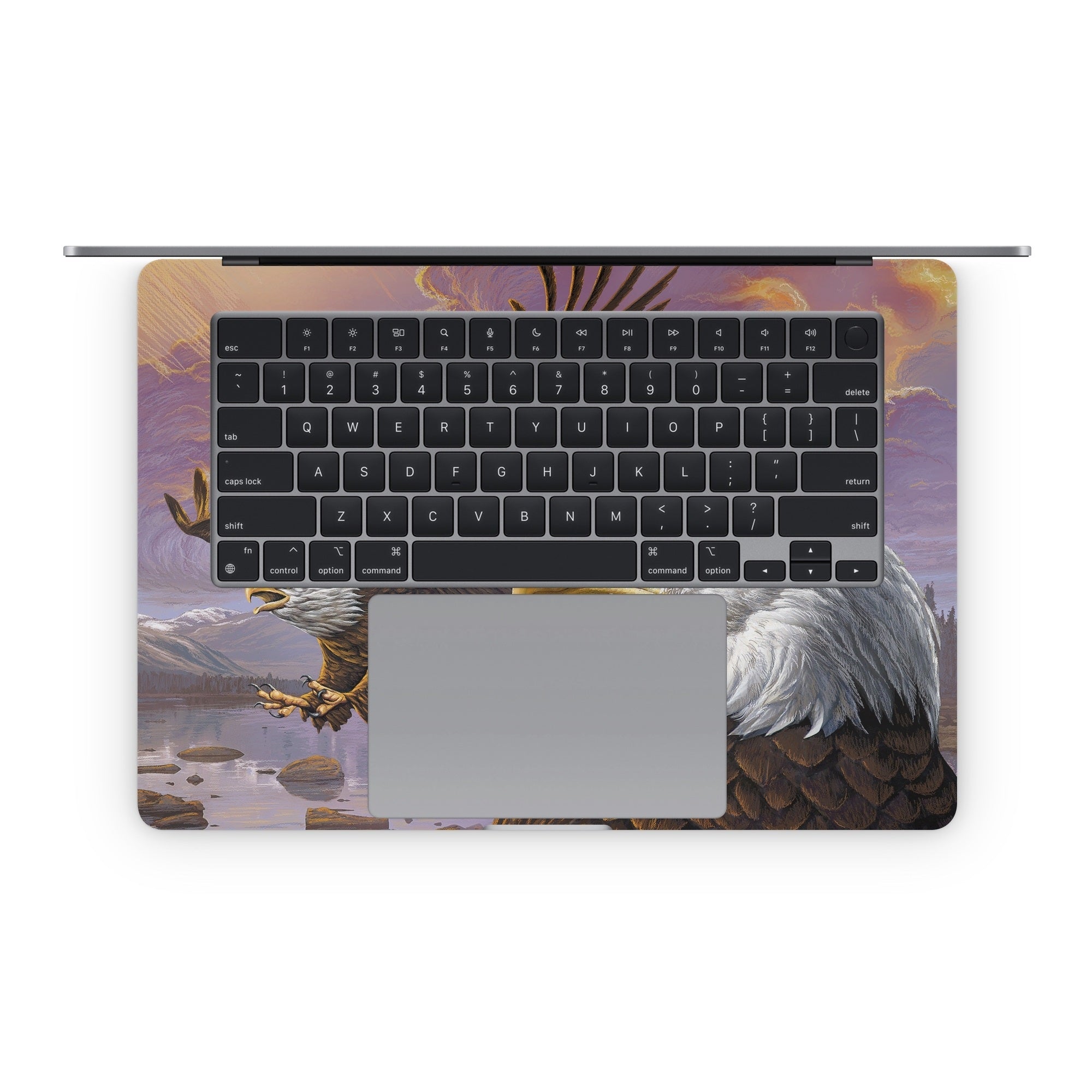 Eagle - Apple MacBook Skin